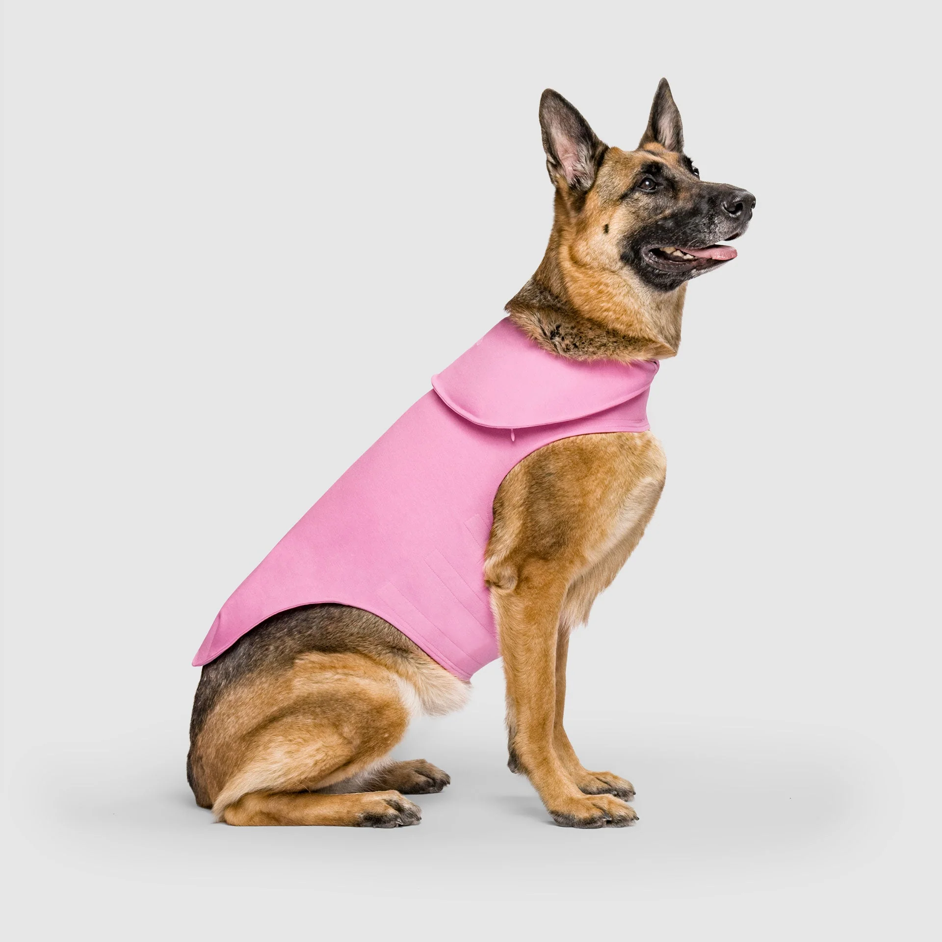 Weighted Calming Vest - Image 23