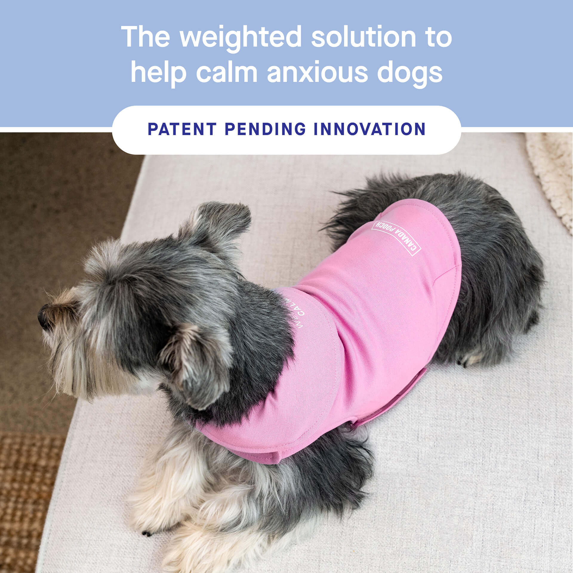 Weighted Calming Vest - Image 24