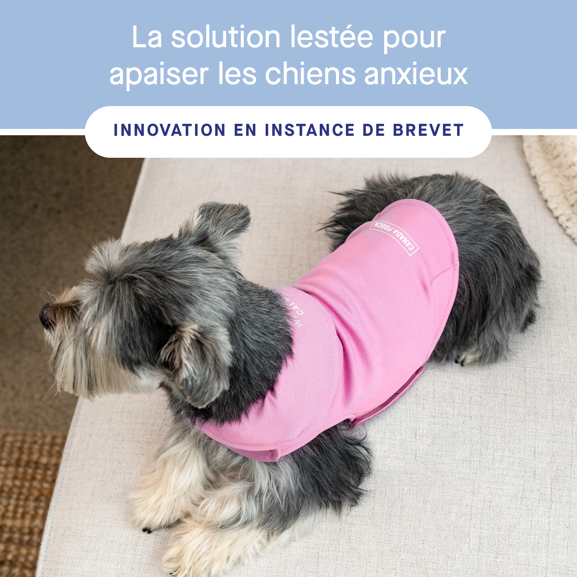 Weighted Calming Vest - Image 25