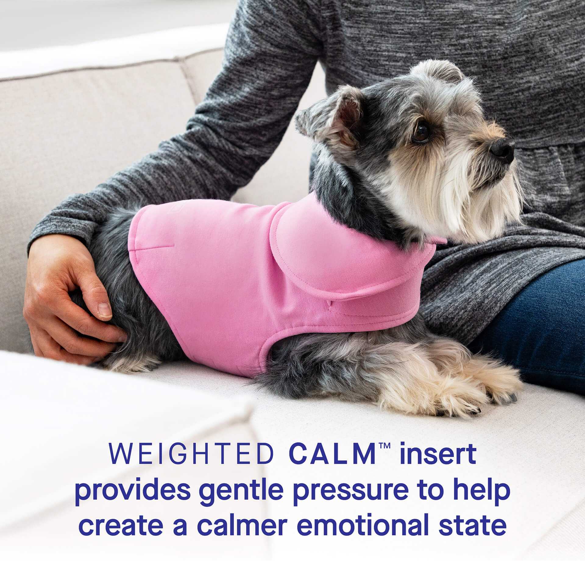Weighted Calming Vest - Image 26