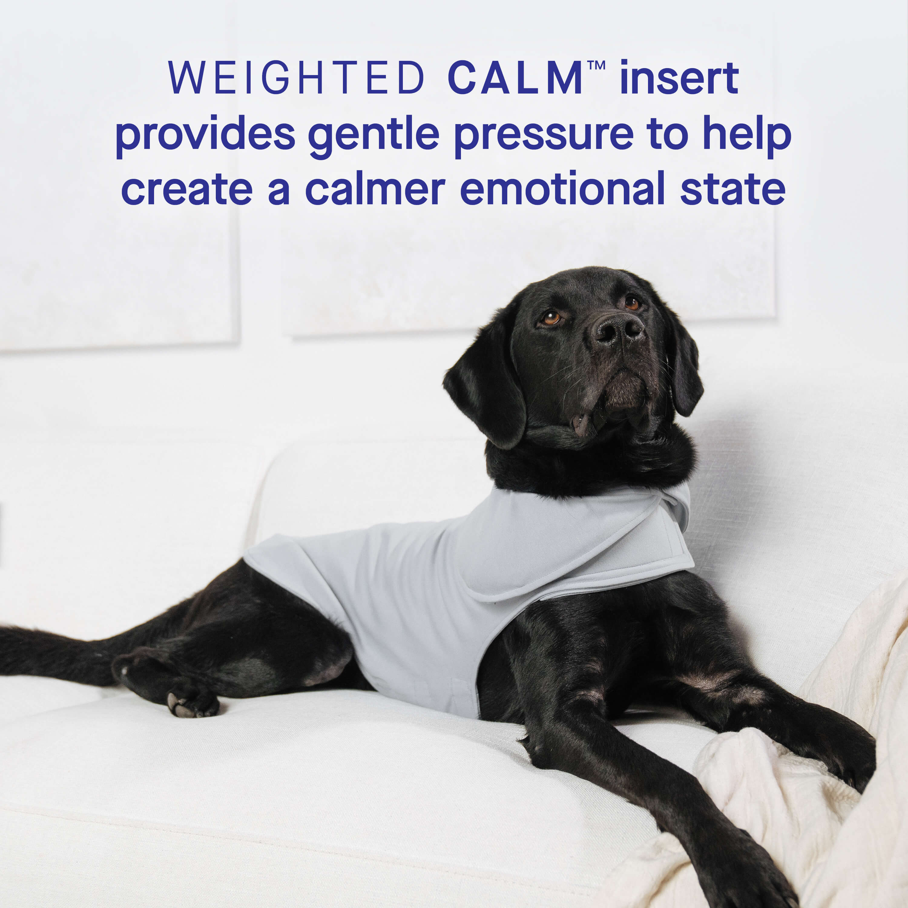 Weighted Calming Vest - Image 5