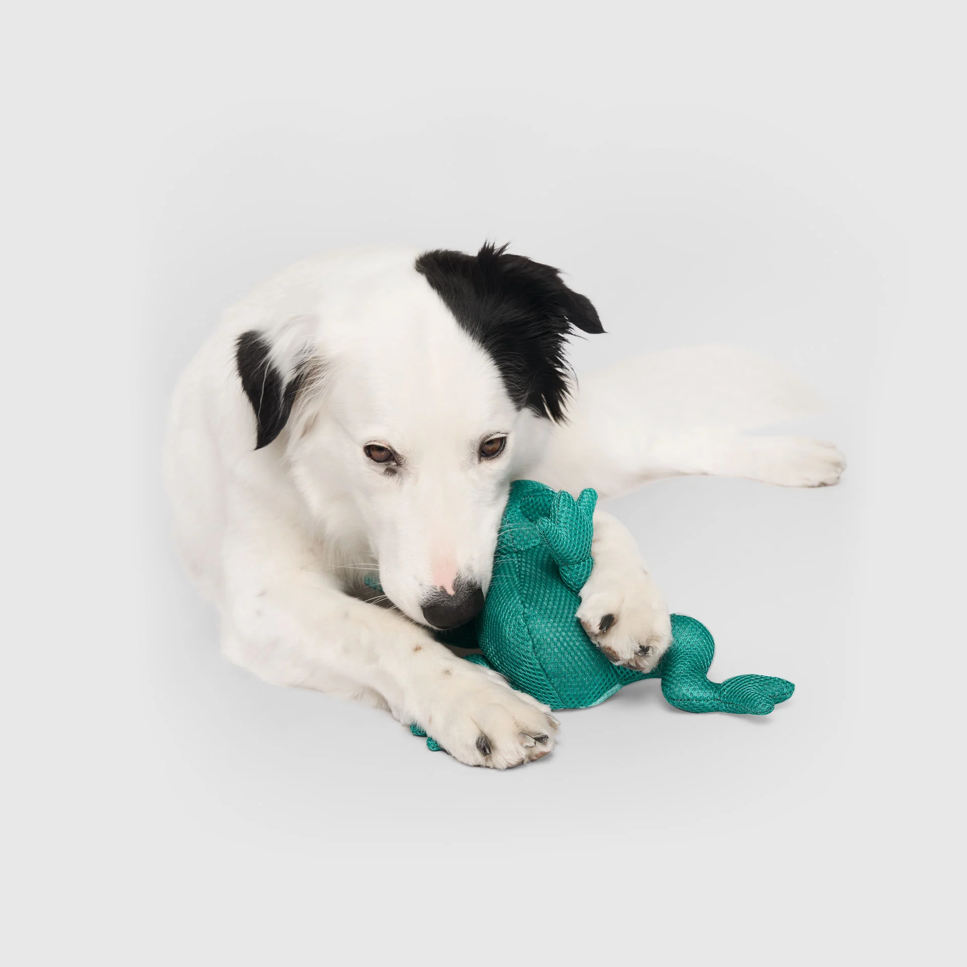 Freeze & Chill Cooling Pal Toy - Image 11
