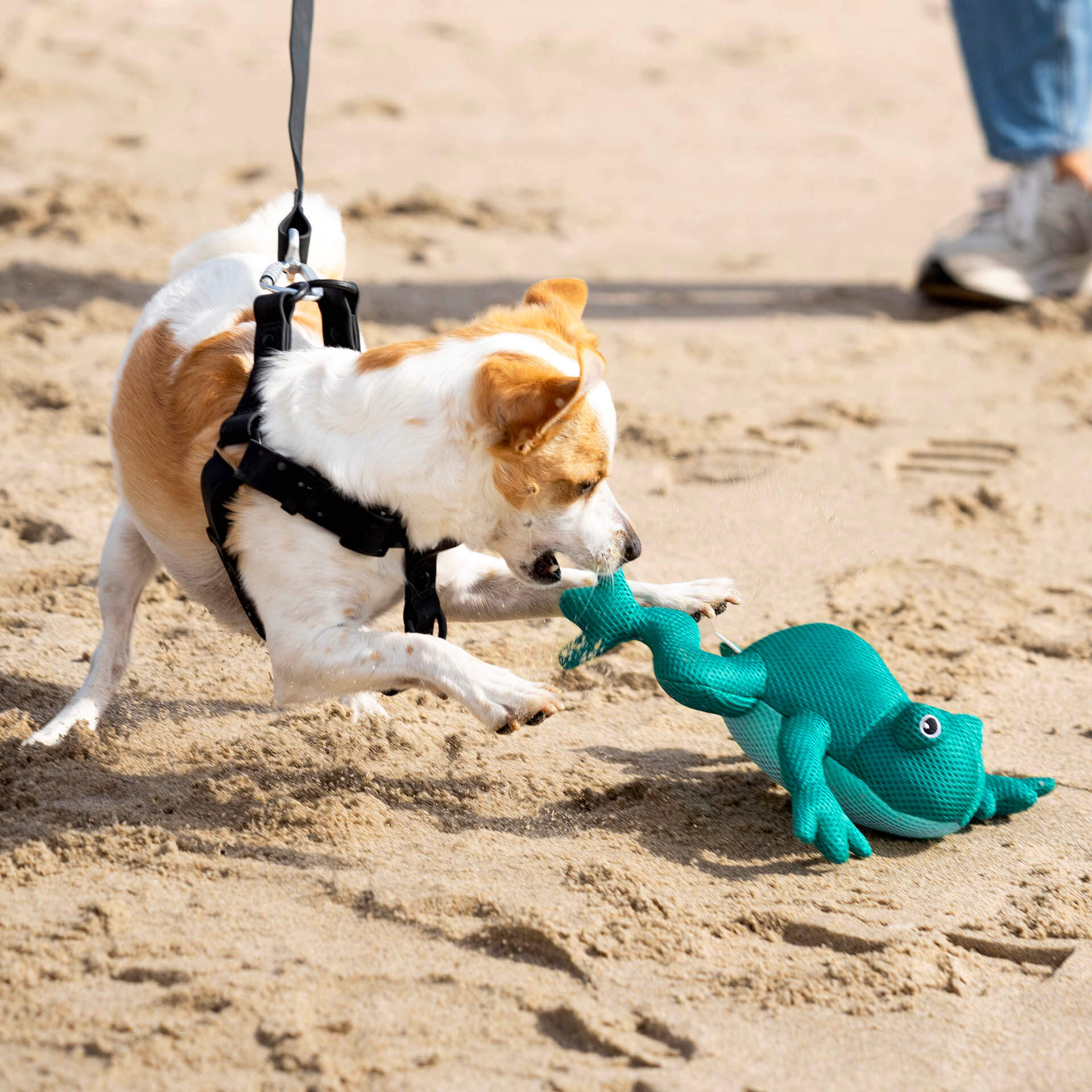Freeze & Chill Cooling Pal Toy - Image 12