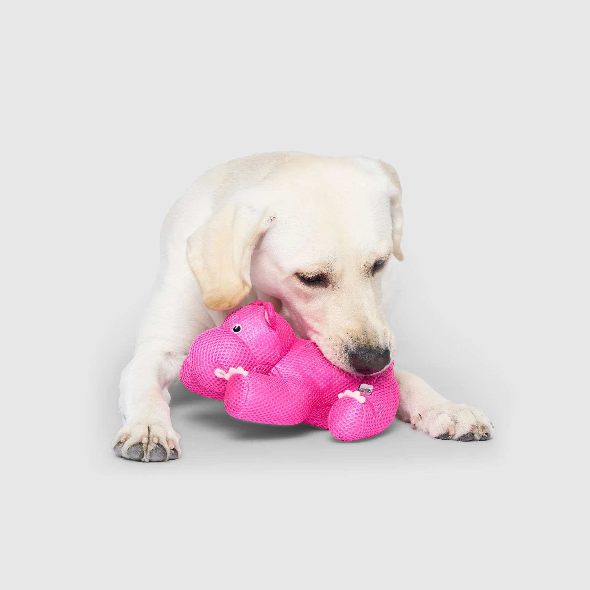 Freeze & Chill Cooling Pal Toy - Image 14