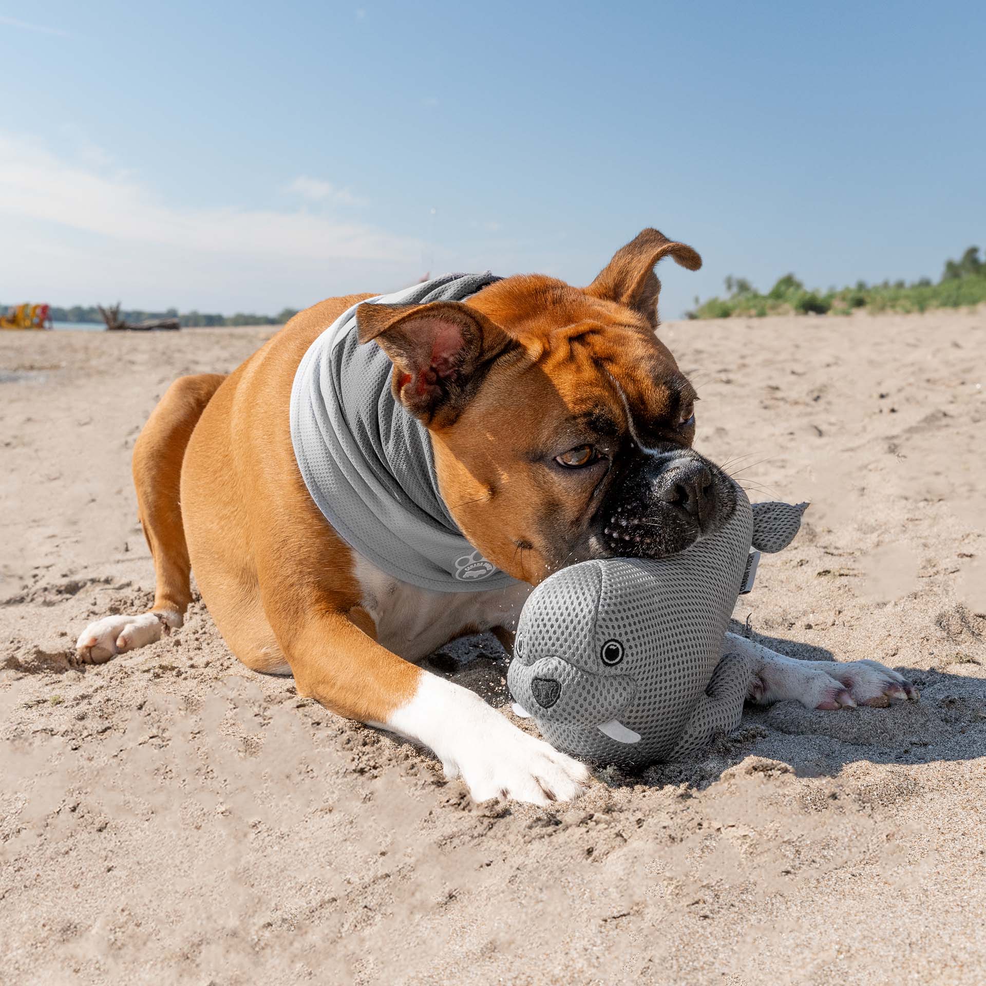 Freeze & Chill Cooling Pal Toy - Image 3