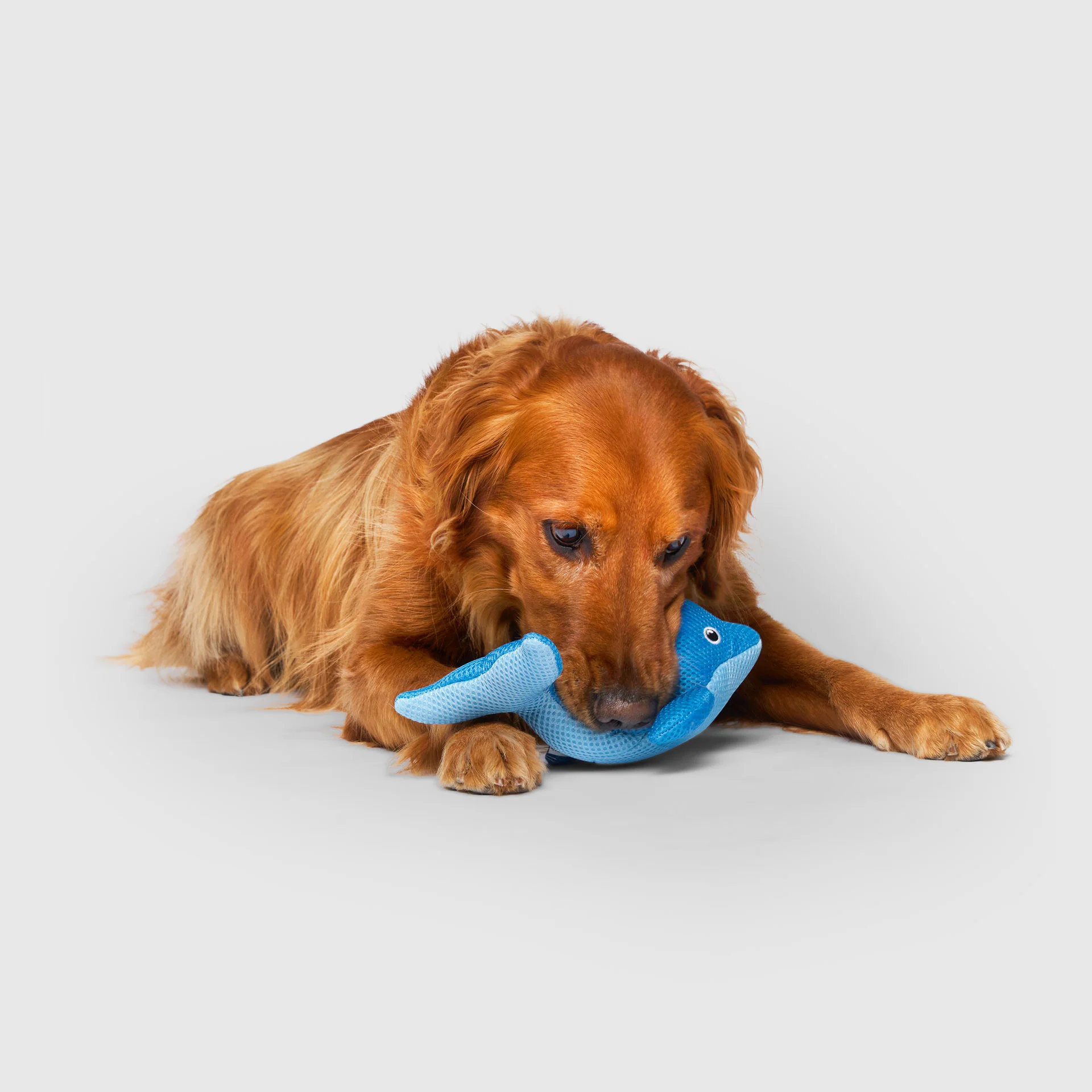 Freeze & Chill Cooling Pal Toy - Image 5
