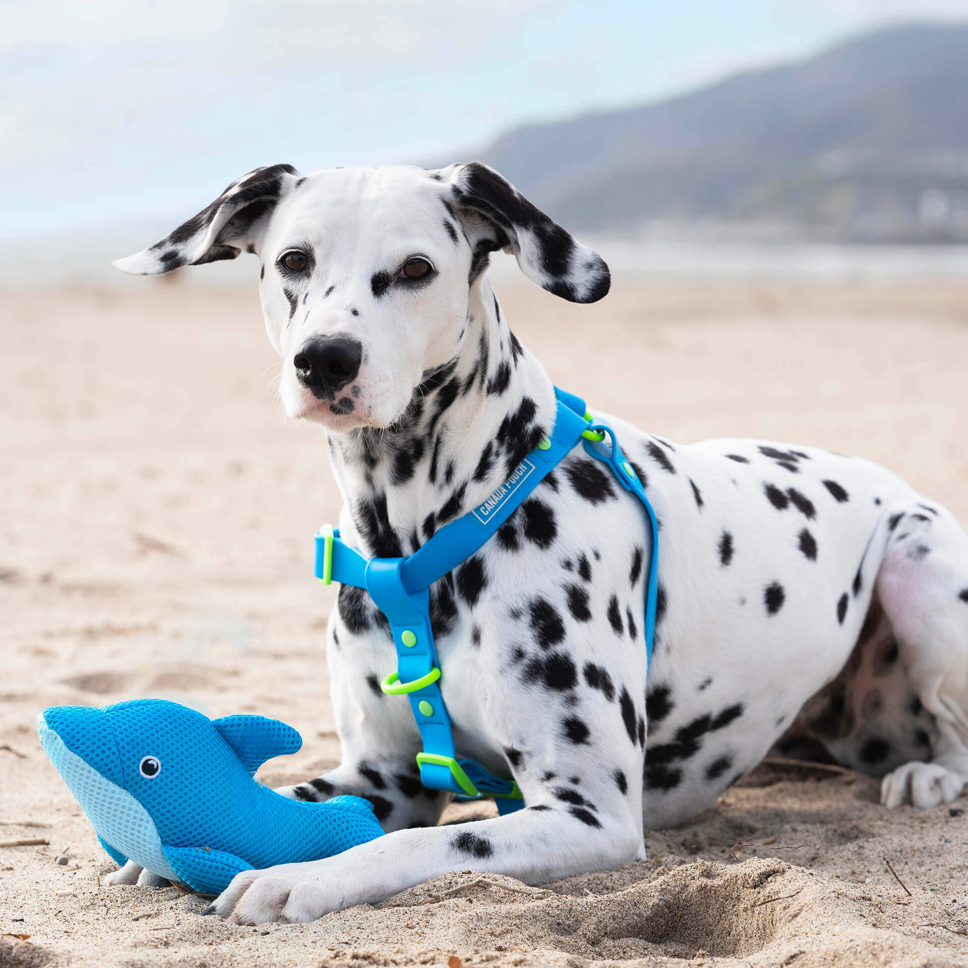 Freeze & Chill Cooling Pal Toy - Image 6