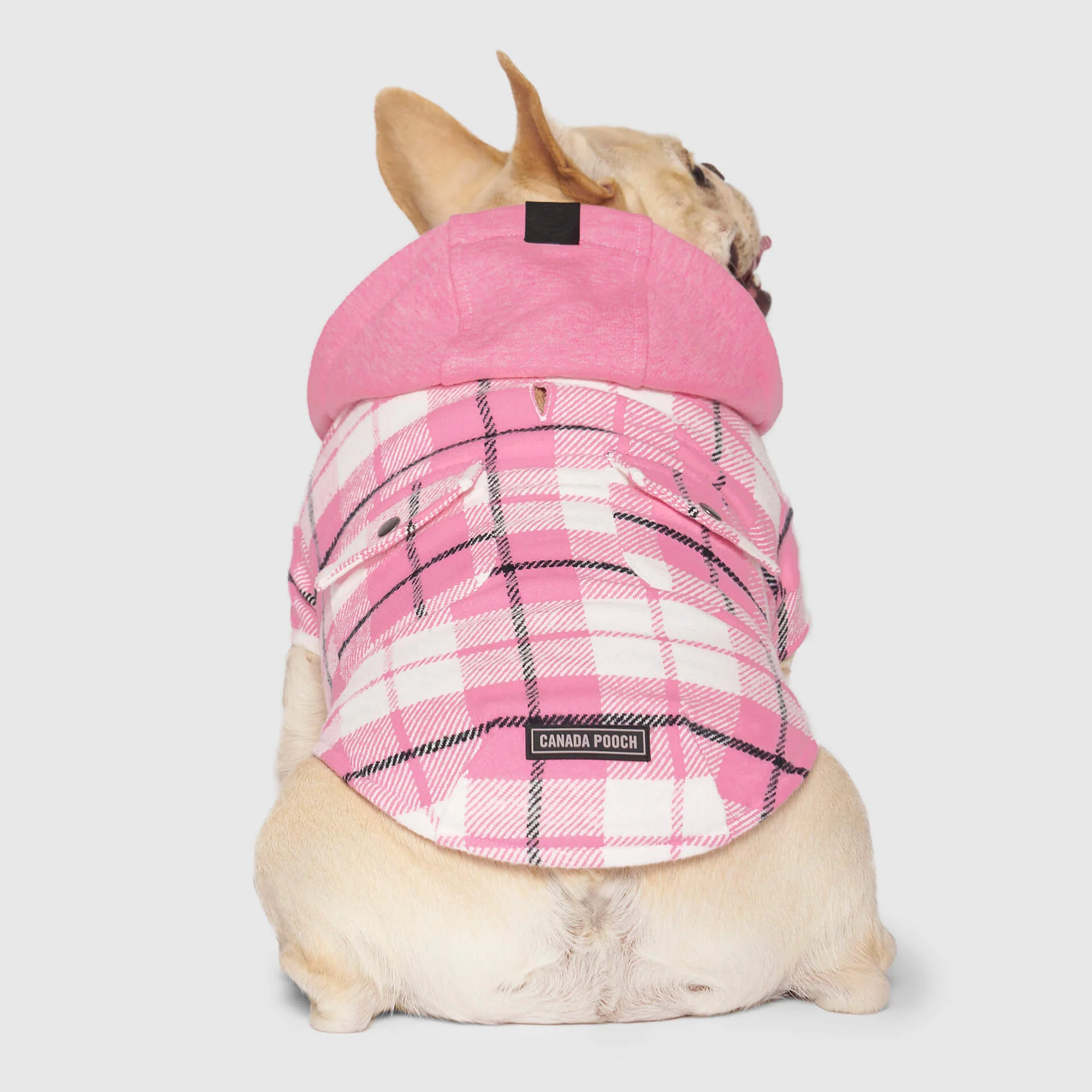 The Shacket - Image 8
