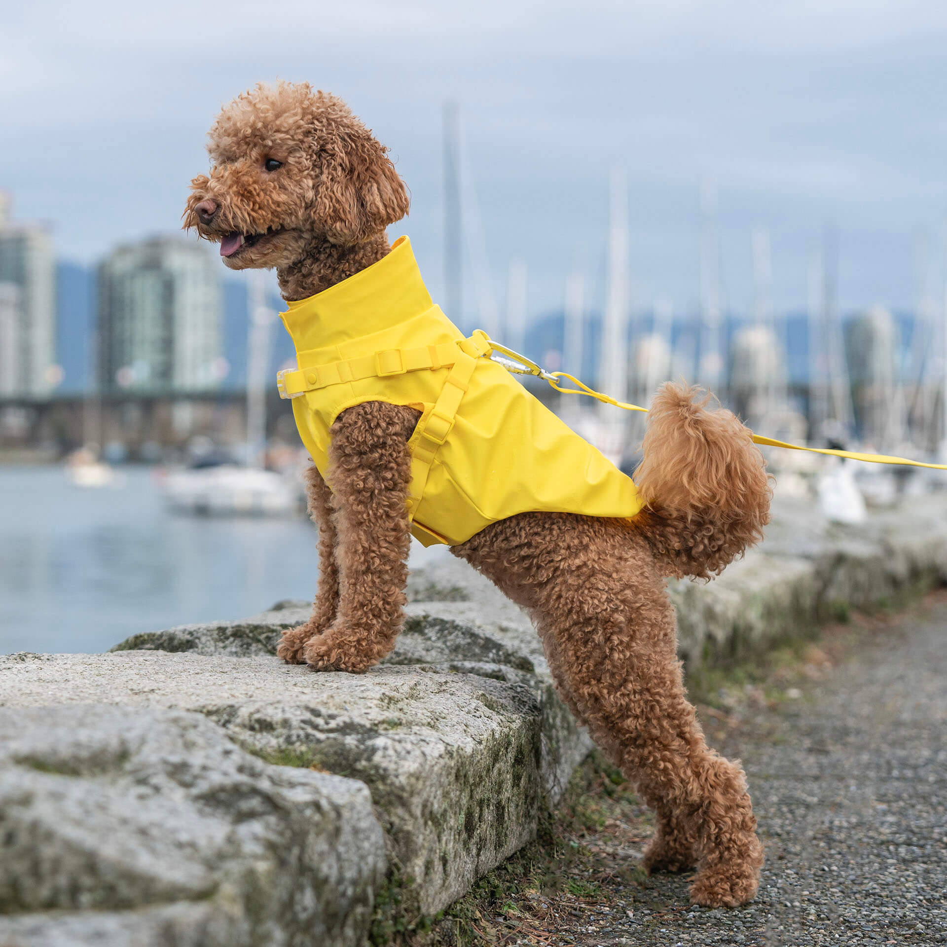 Harness Raincoat - Image 11