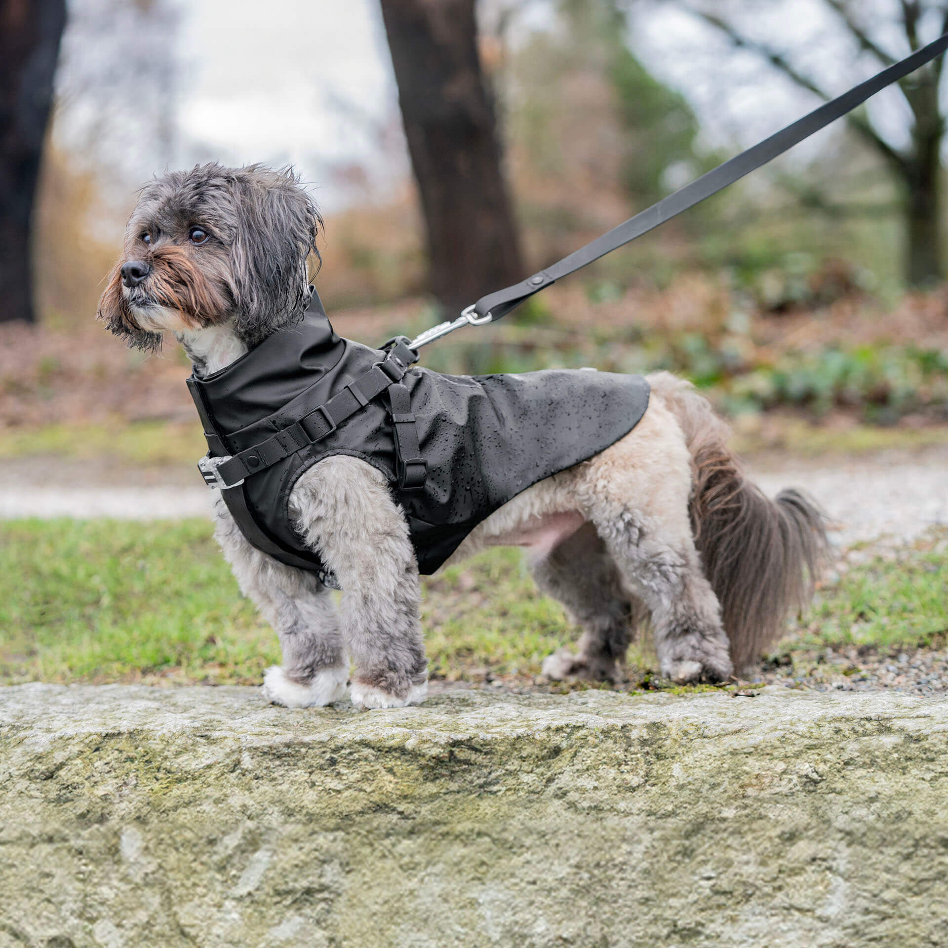 Harness Raincoat - Image 20