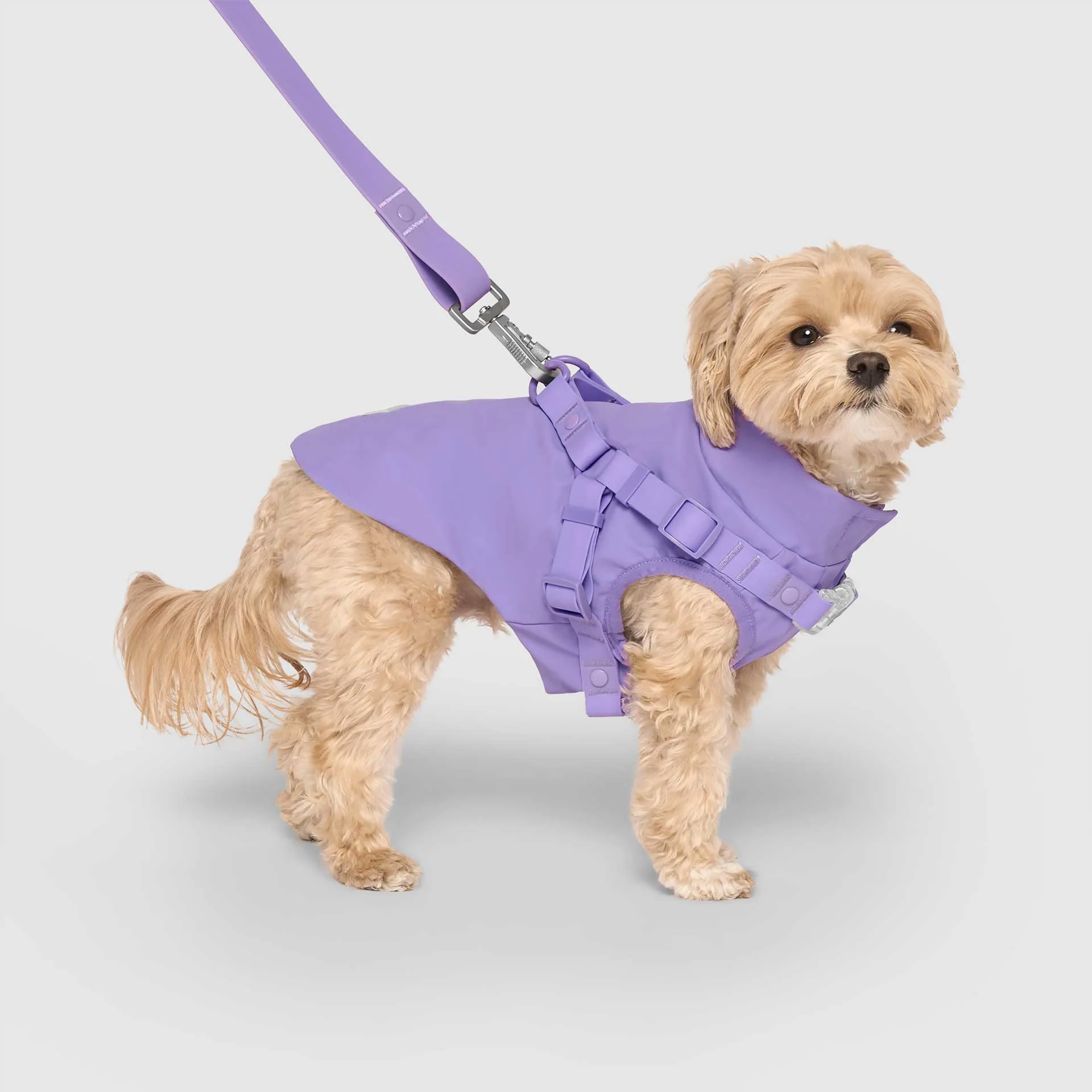 Harness Raincoat - Image 21