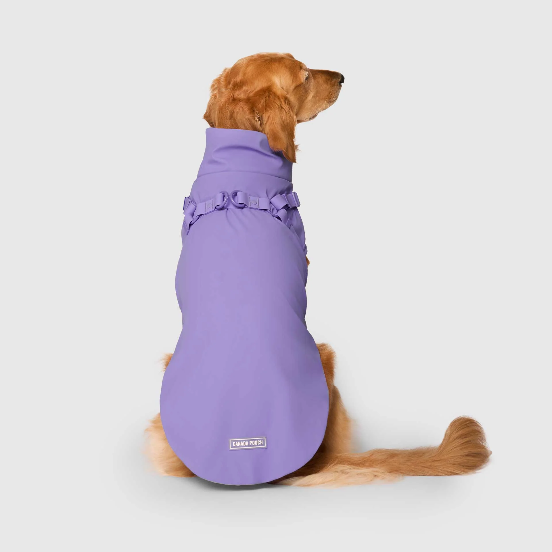 Harness Raincoat - Image 28