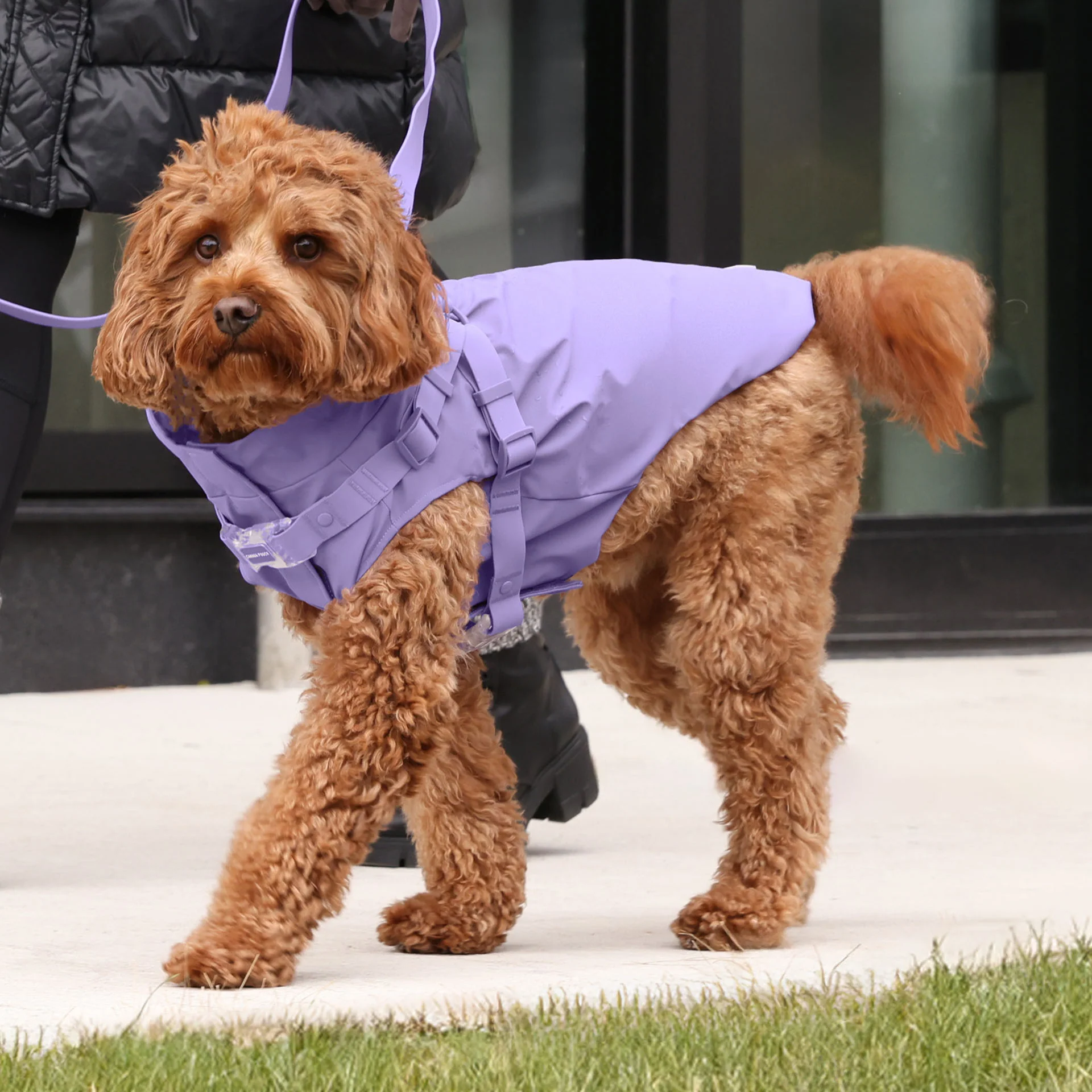Harness Raincoat - Image 30