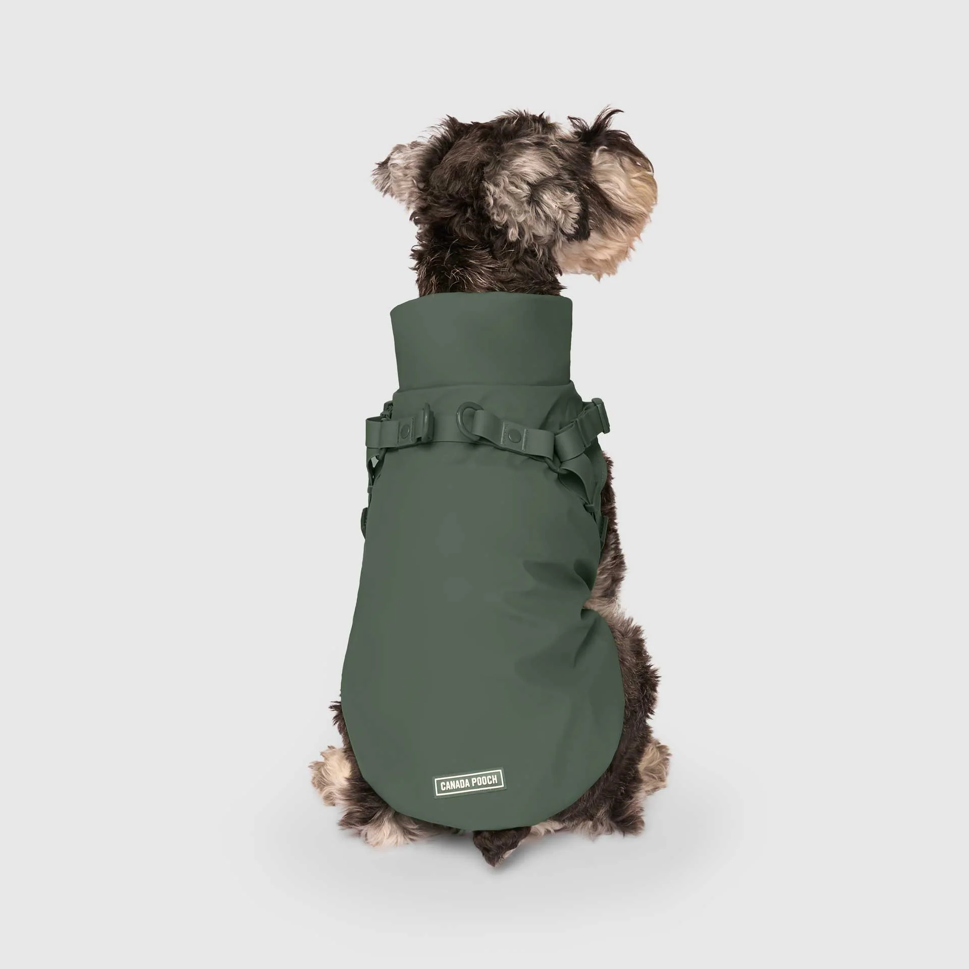 Harness Raincoat - Image 38