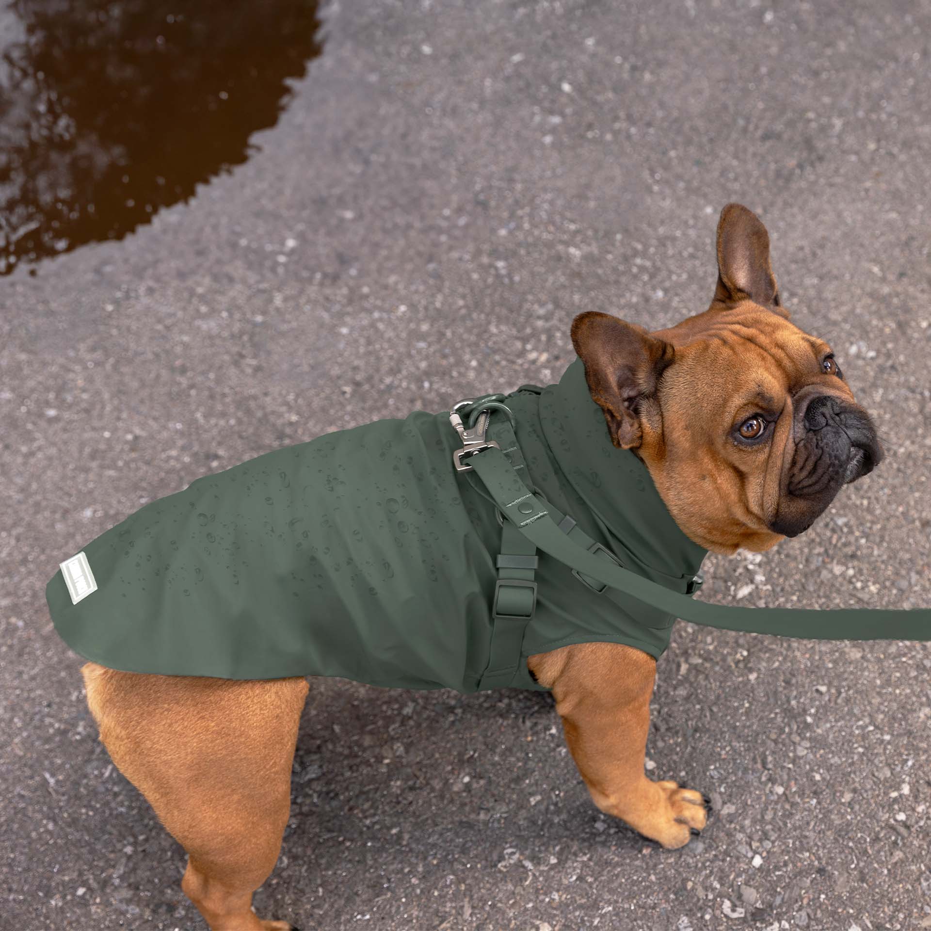 Harness Raincoat - Image 40