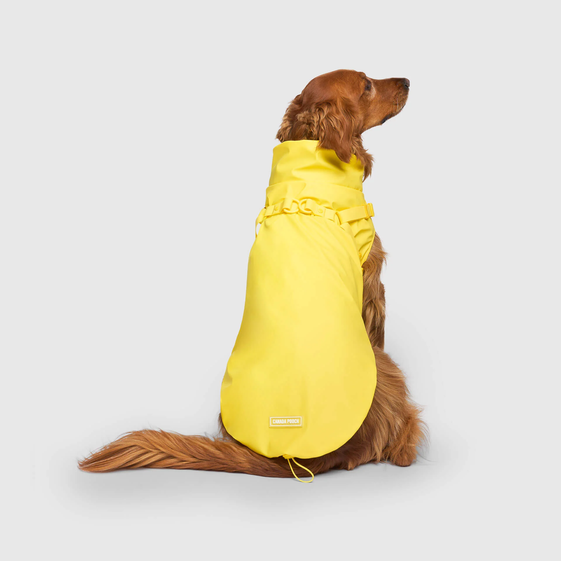 Harness Raincoat - Image 9