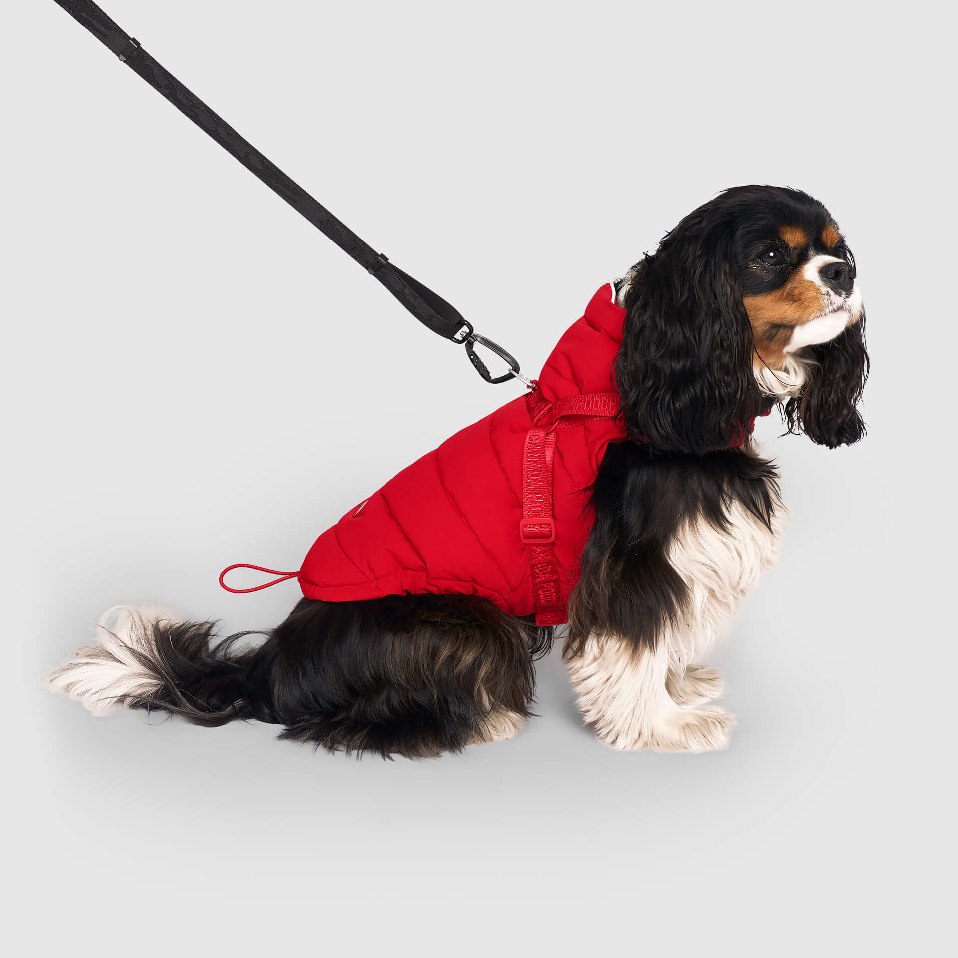 Harness Puffer - Image 10