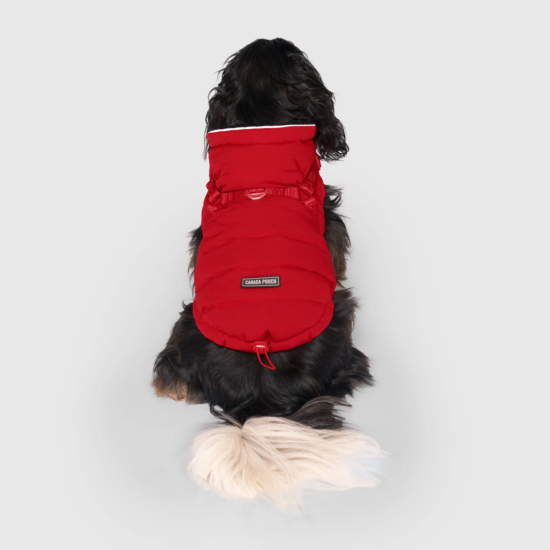 Harness Puffer - Image 15