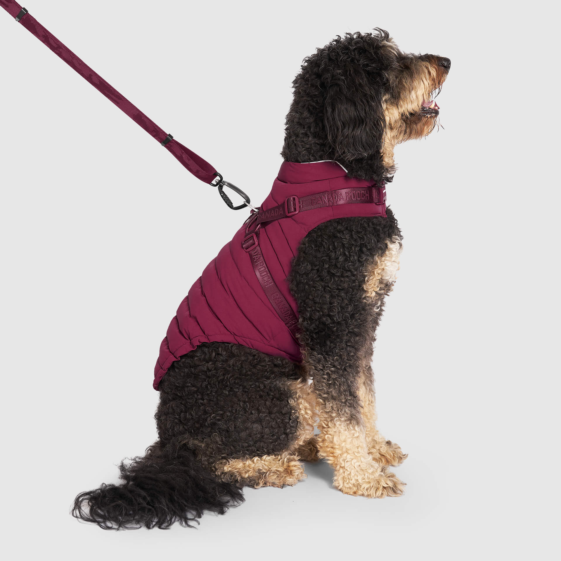 Harness Puffer - Image 18