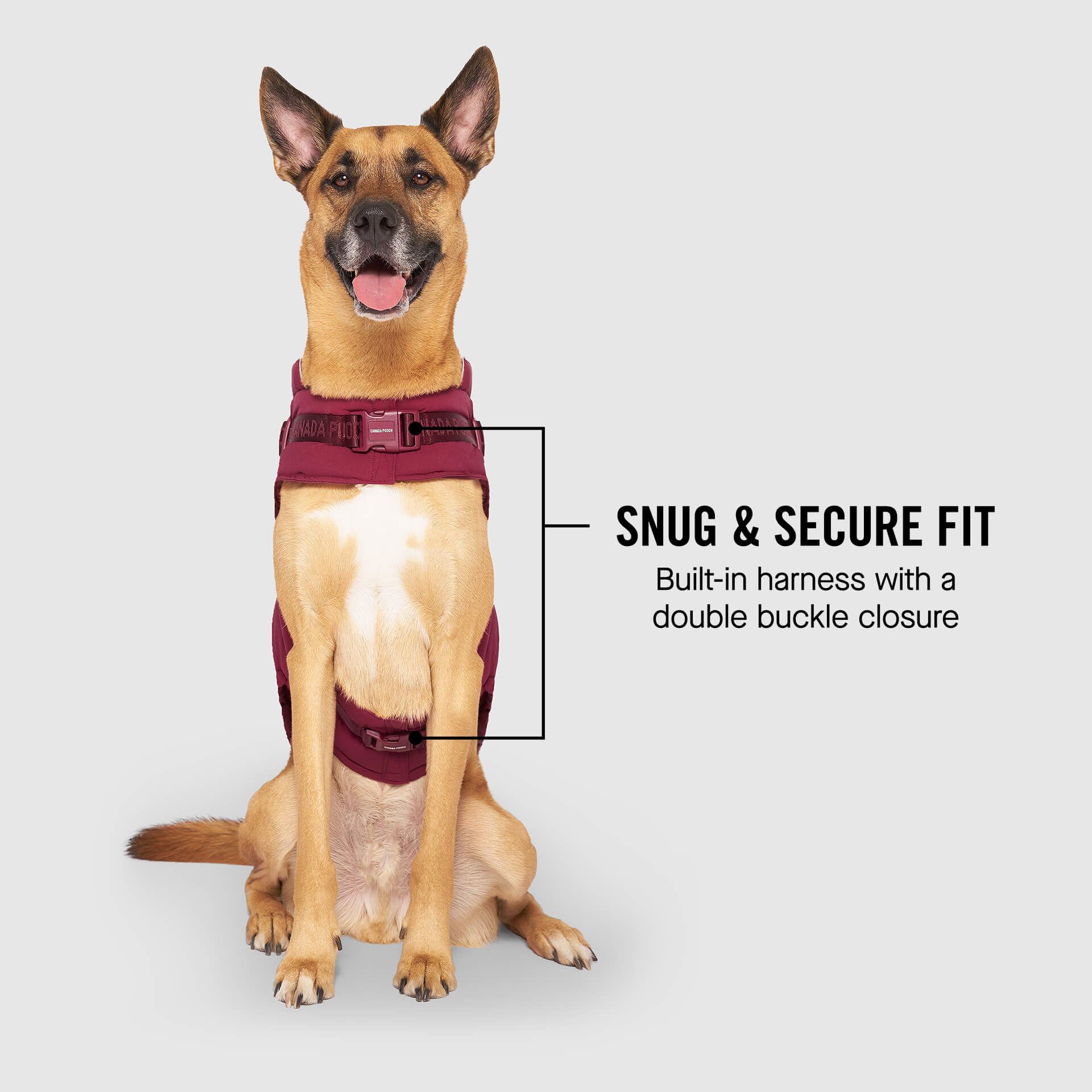 Harness Puffer - Image 19