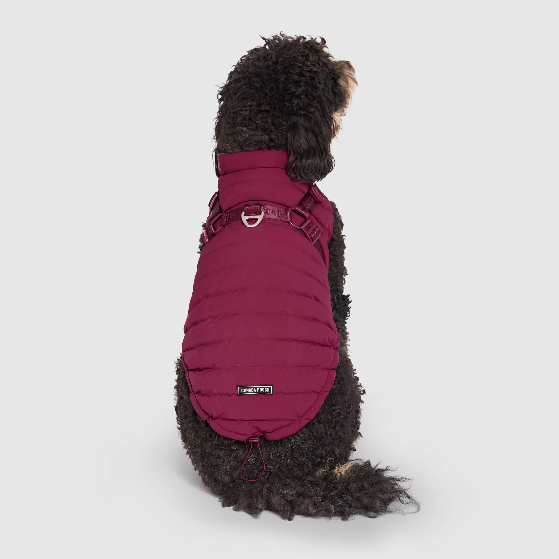 Harness Puffer - Image 20
