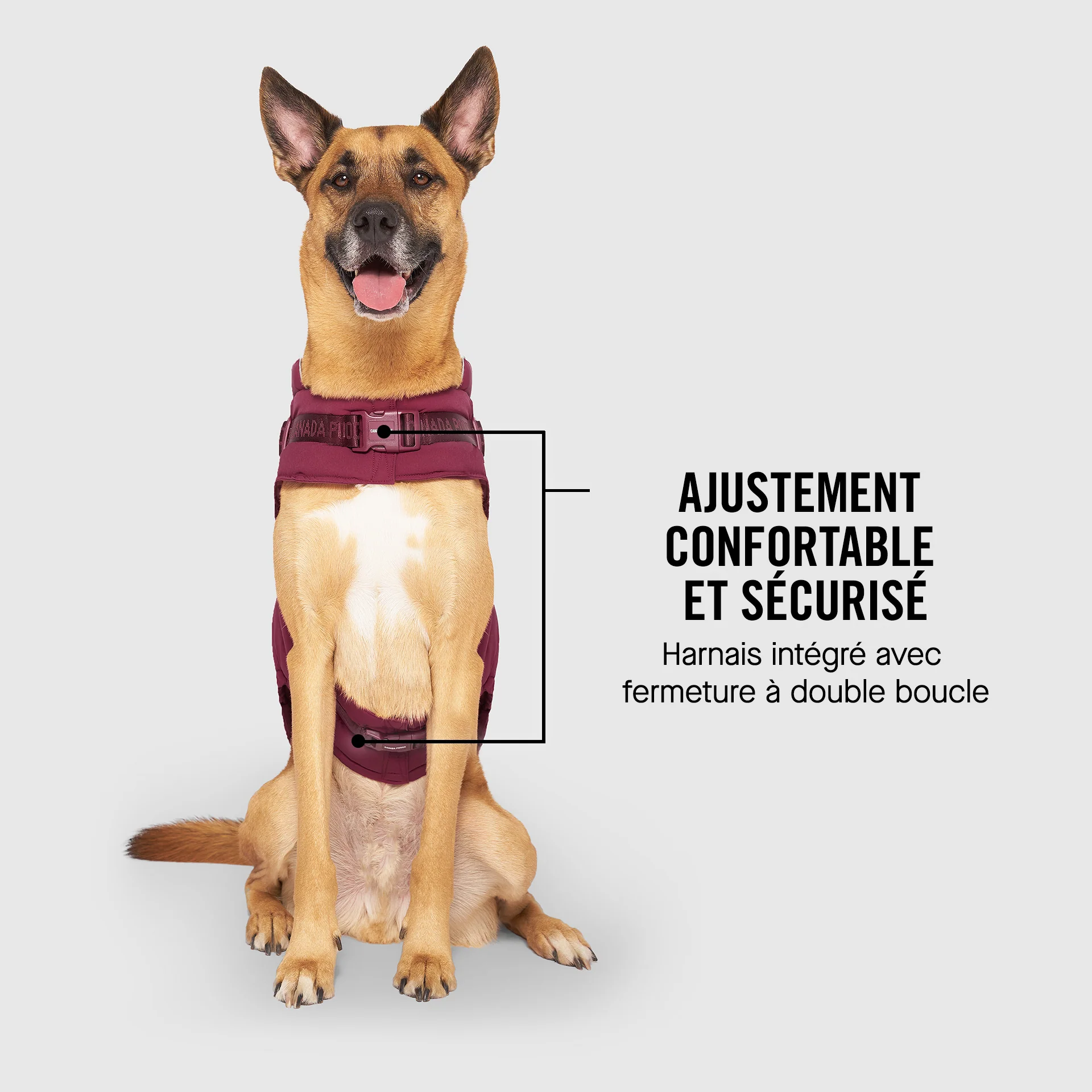 Harness Puffer - Image 25