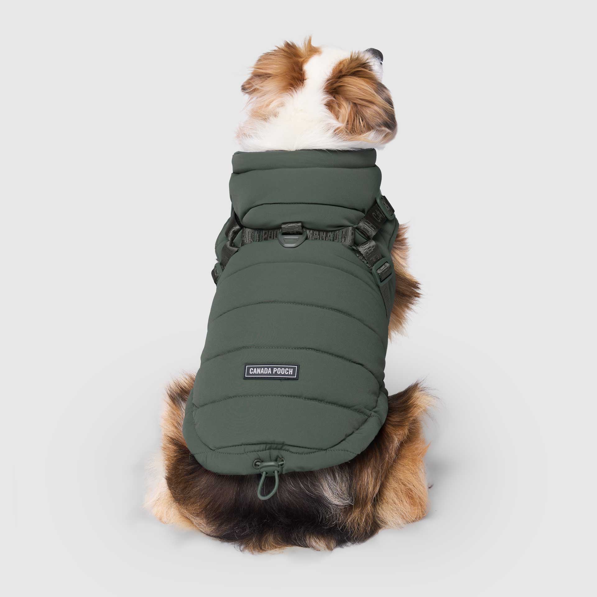 Harness Puffer - Image 27