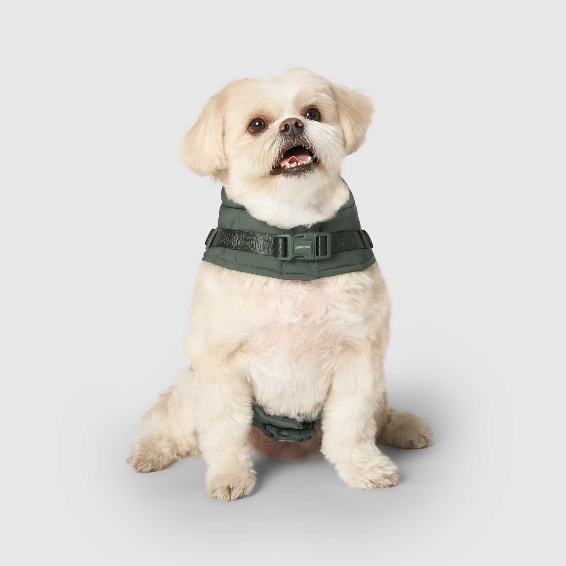 Harness Puffer - Image 29