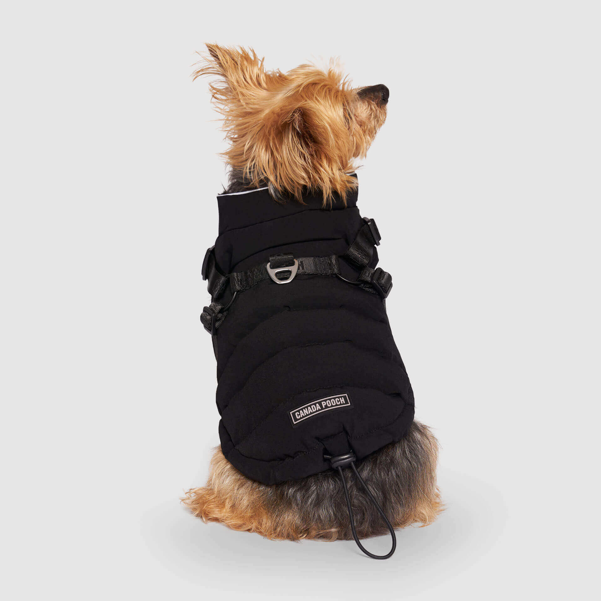 Harness Puffer - Image 3