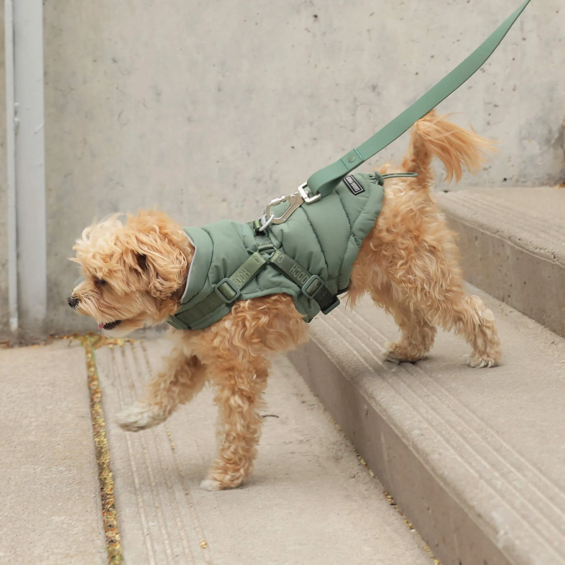 Harness Puffer - Image 31