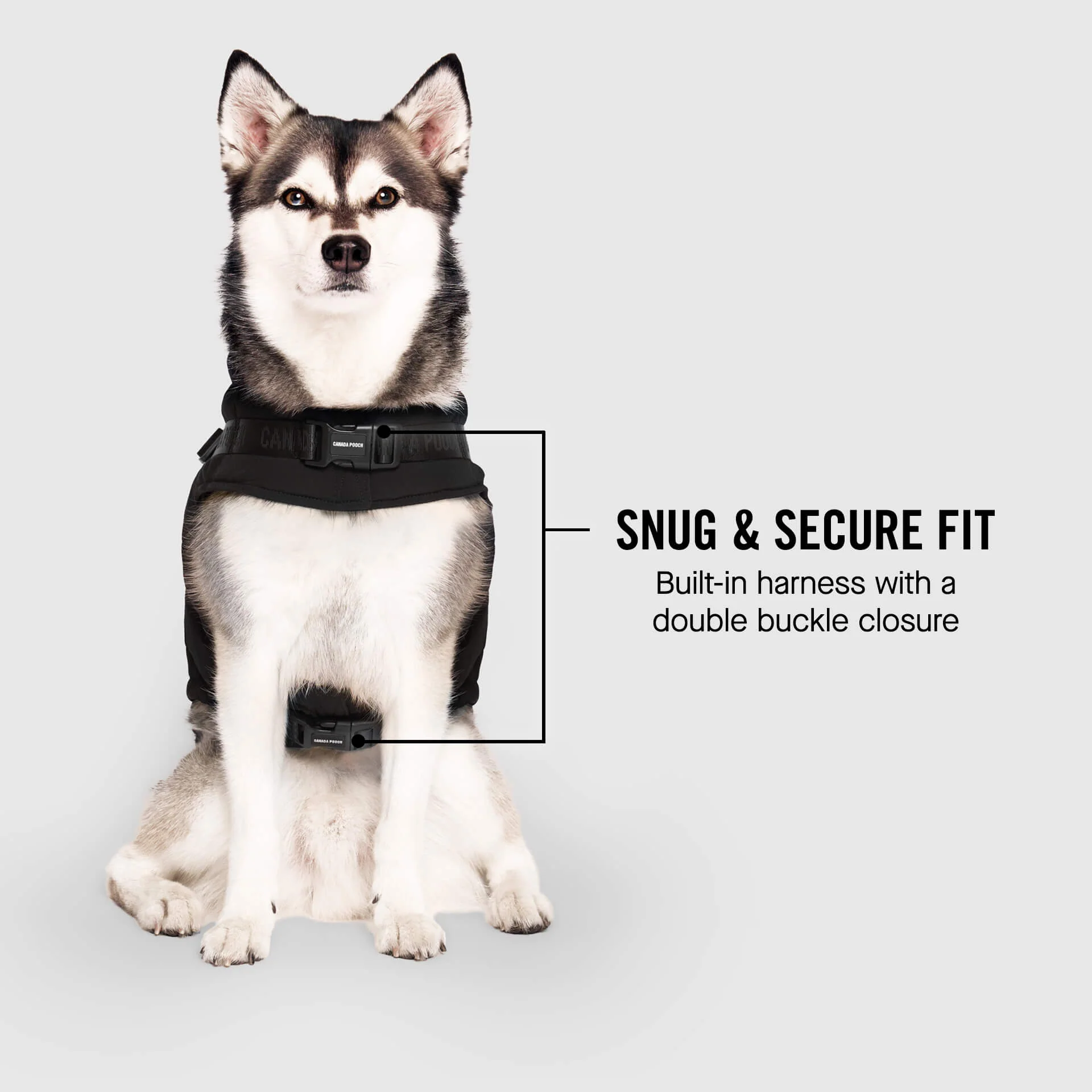 Harness Puffer - Image 6