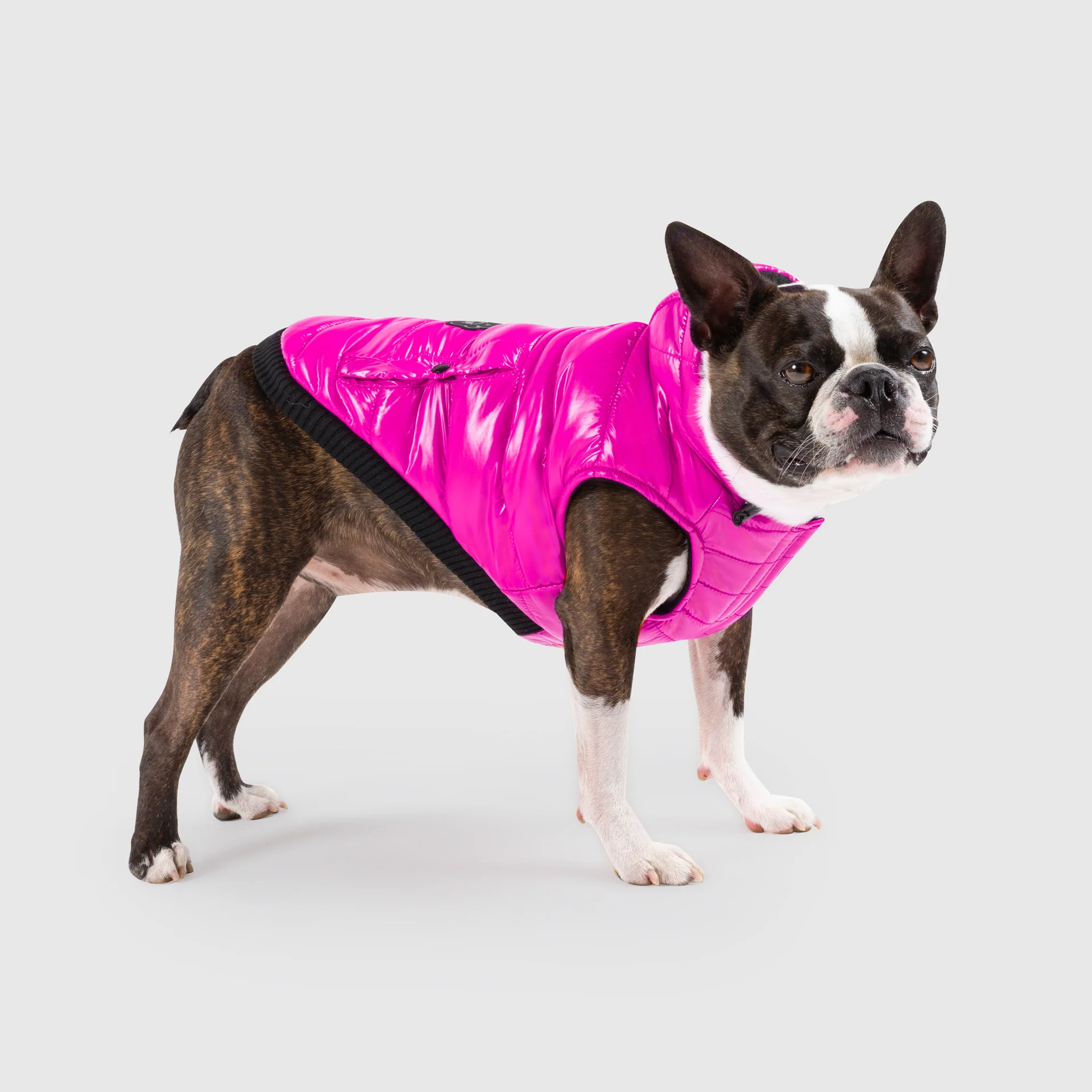 Shiny Puffer Vest - Image 5