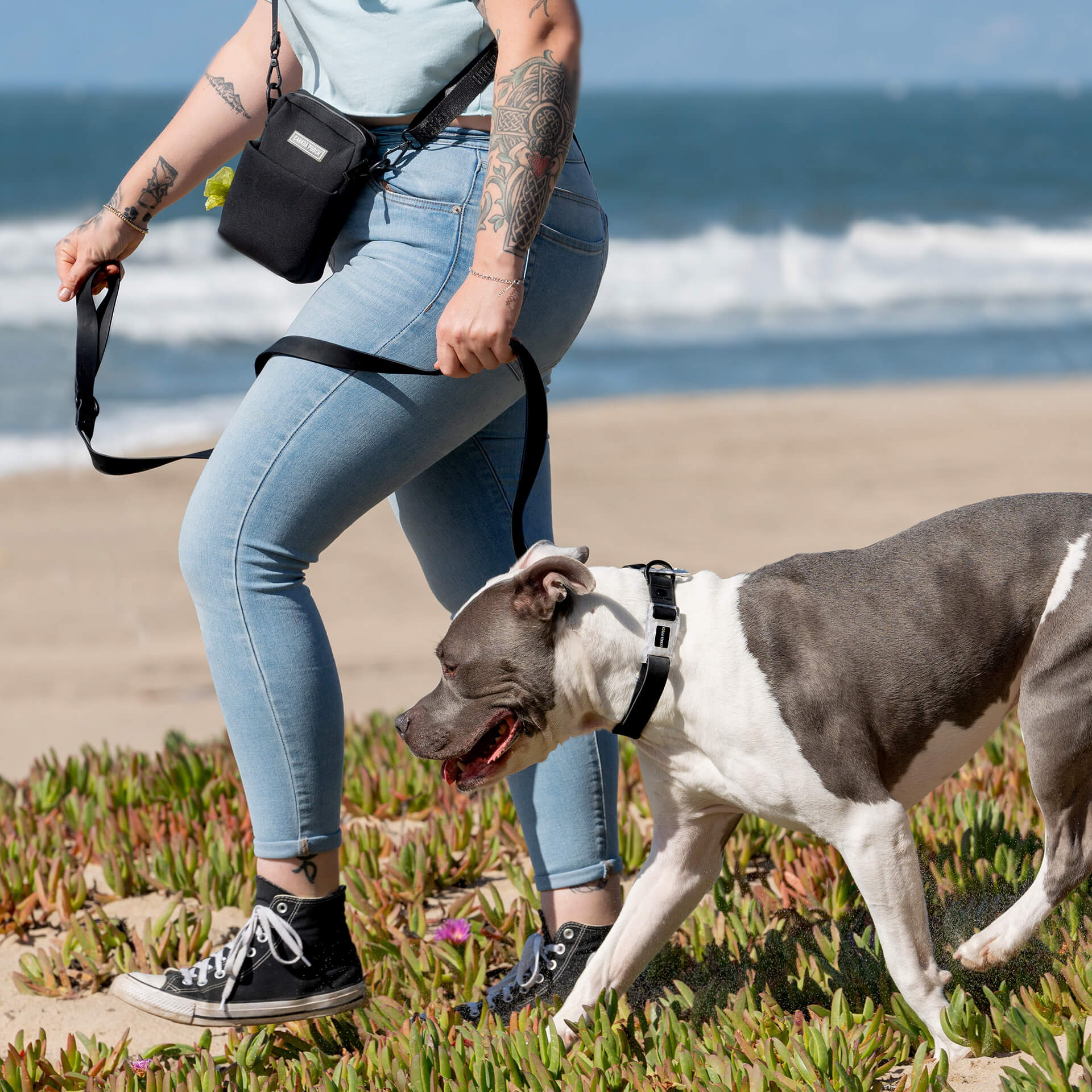Dog Walking Bag - Image 6