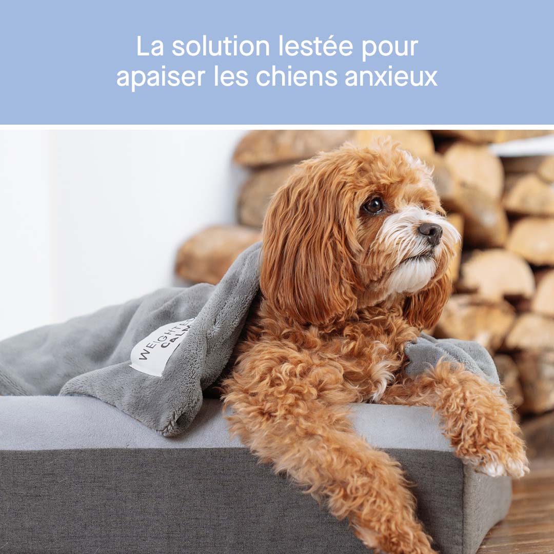 Weighted Calming Blanket - Image 3