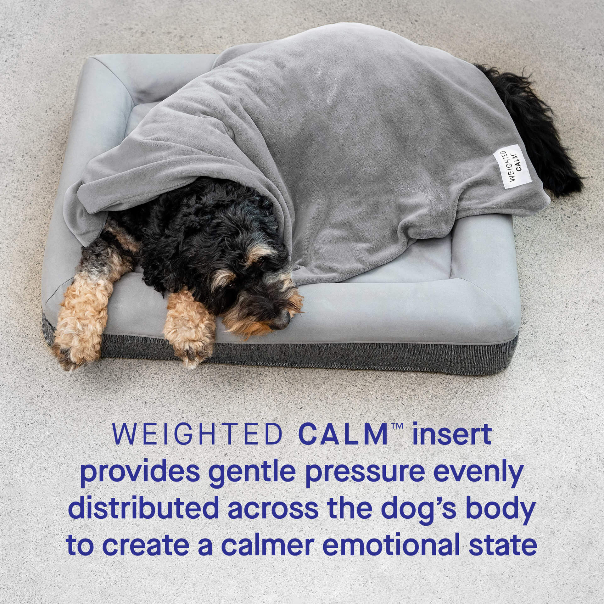 Weighted Calming Blanket - Image 4