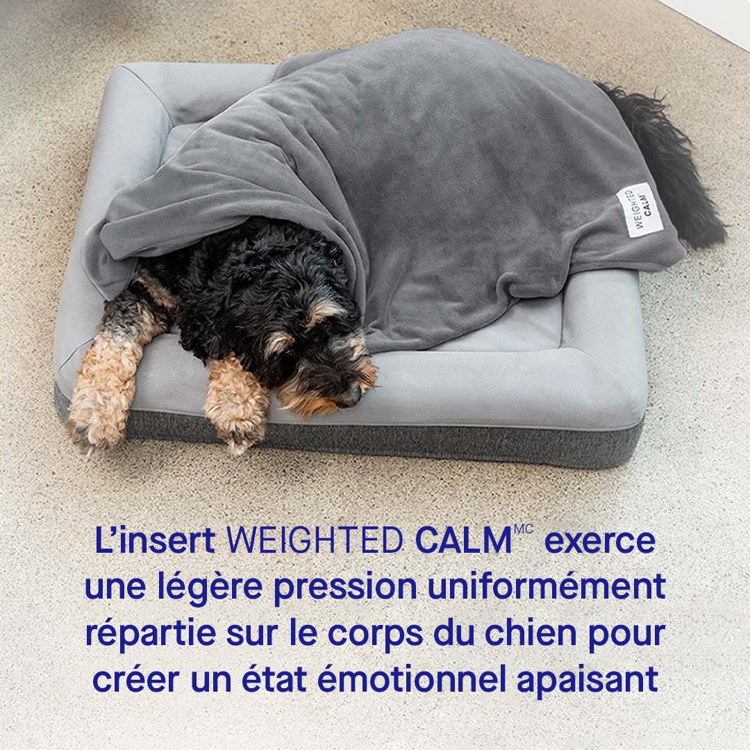 Weighted Calming Blanket - Image 5