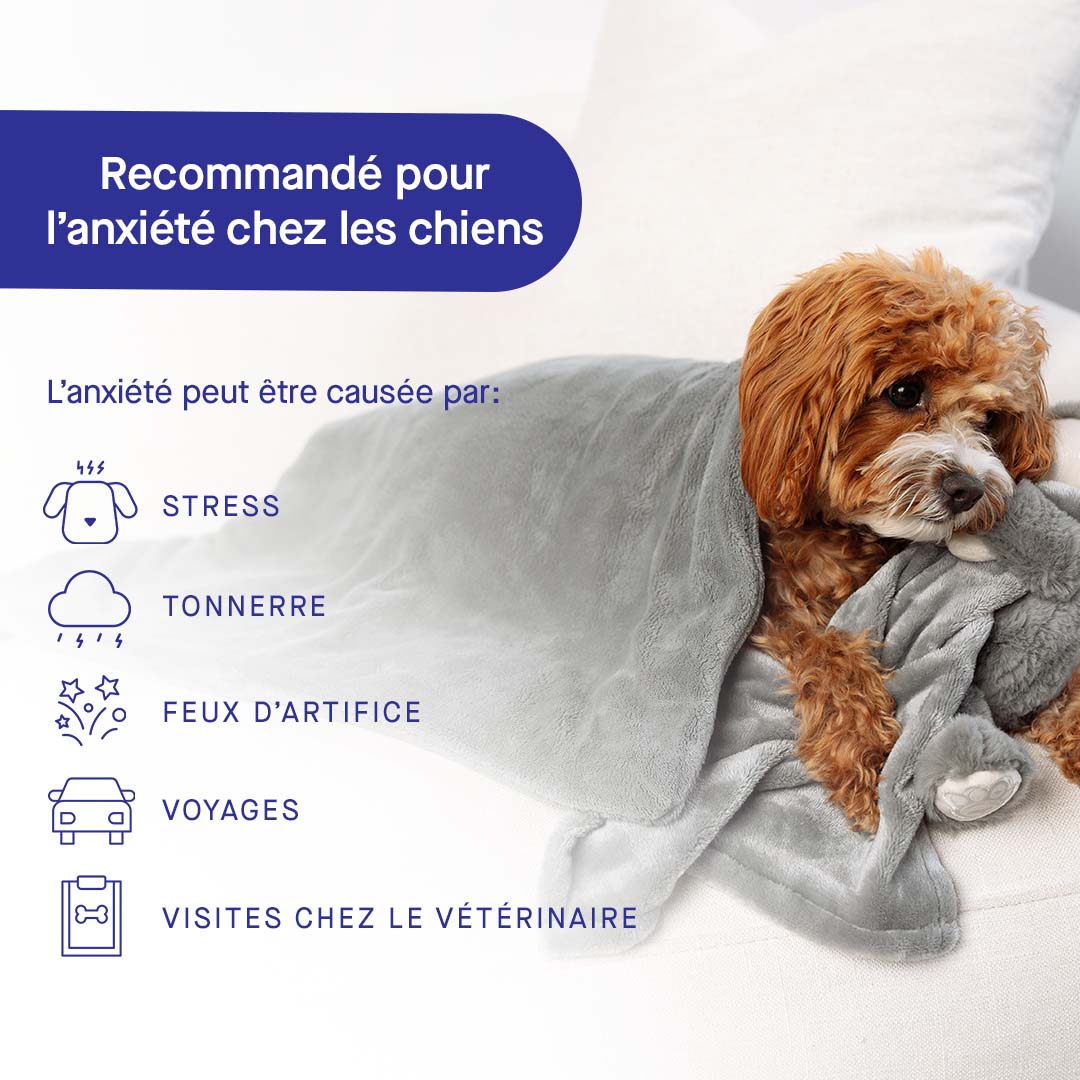 Weighted Calming Blanket - Image 9