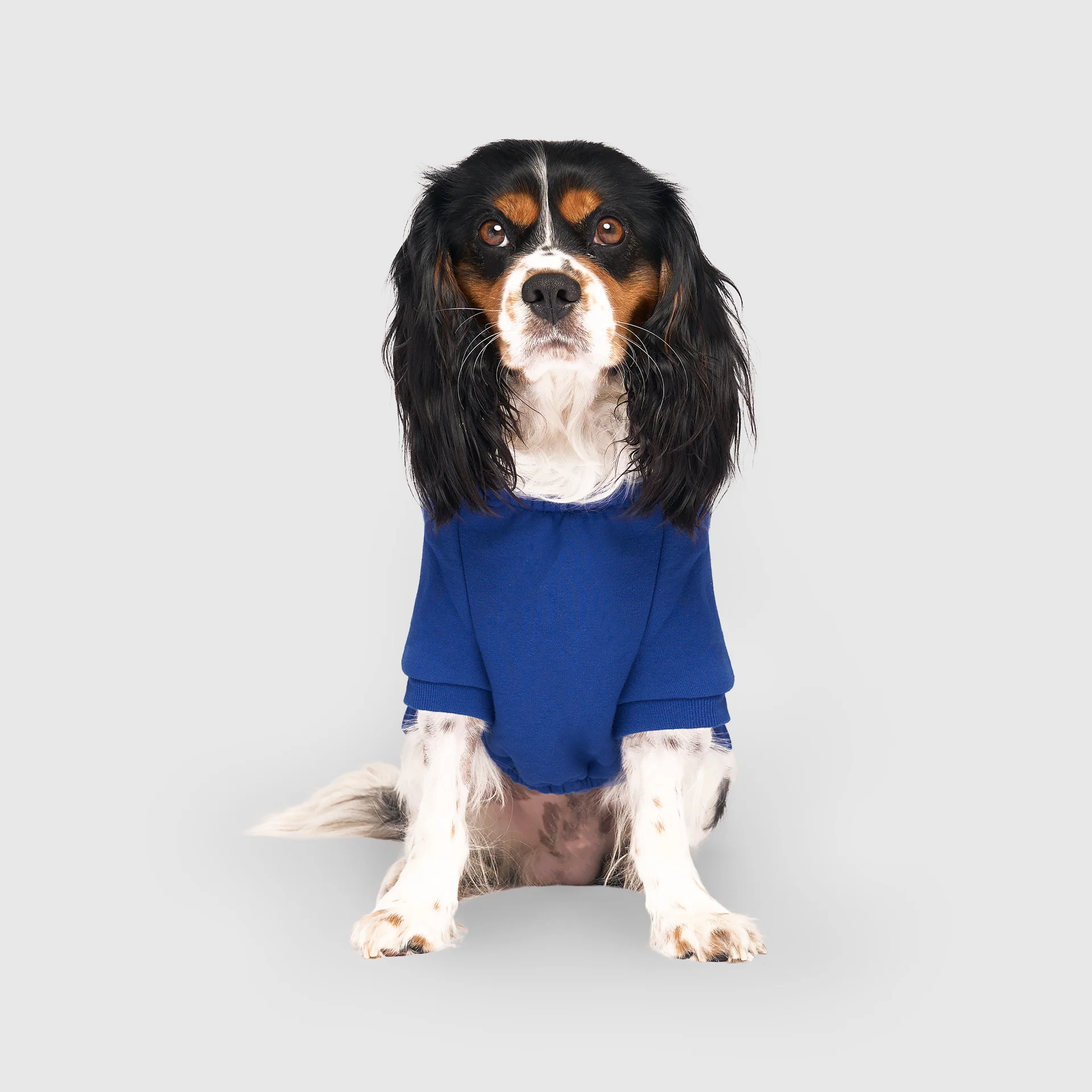 Eco+ Everyday Hoodie - Image 2