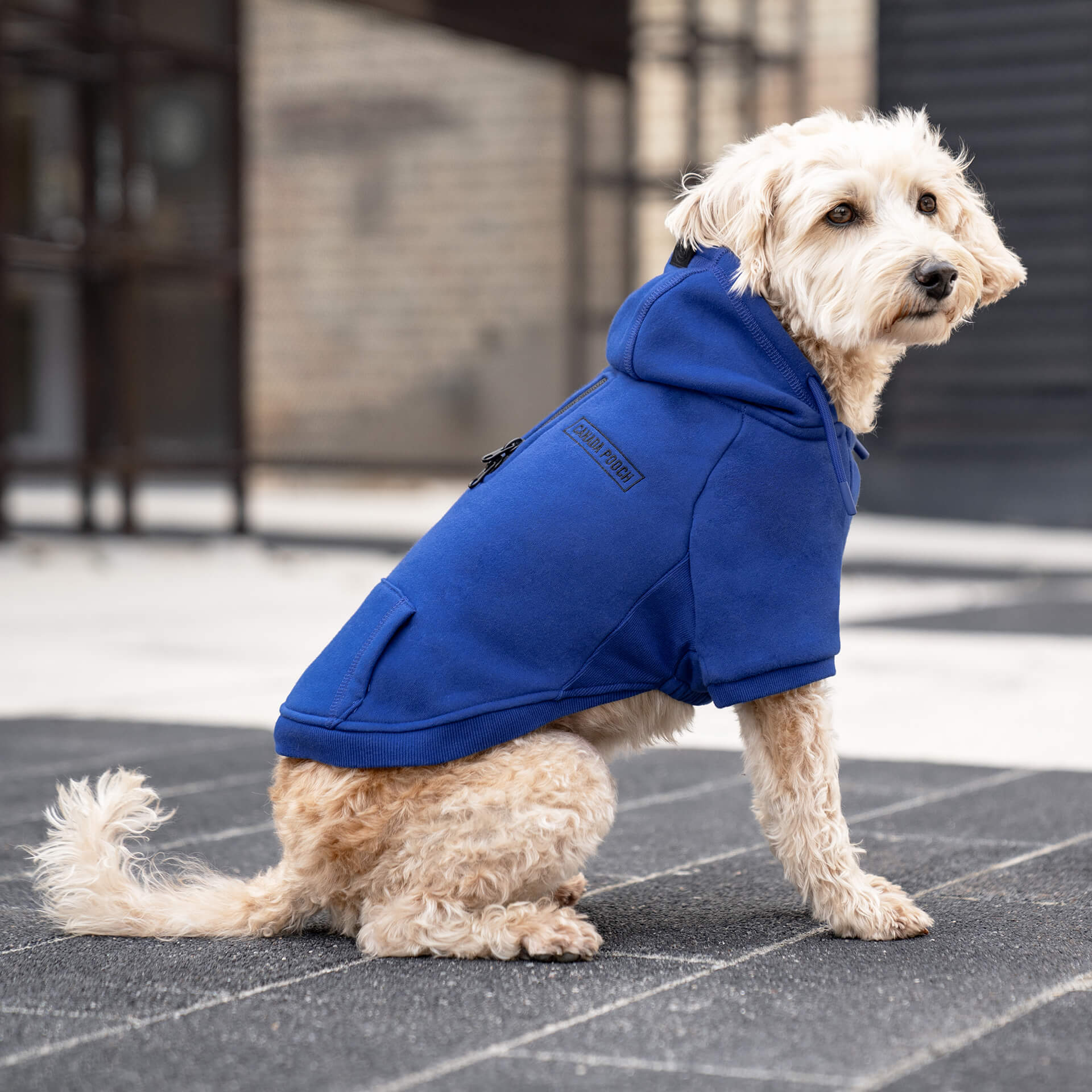 Eco+ Everyday Hoodie - Image 5