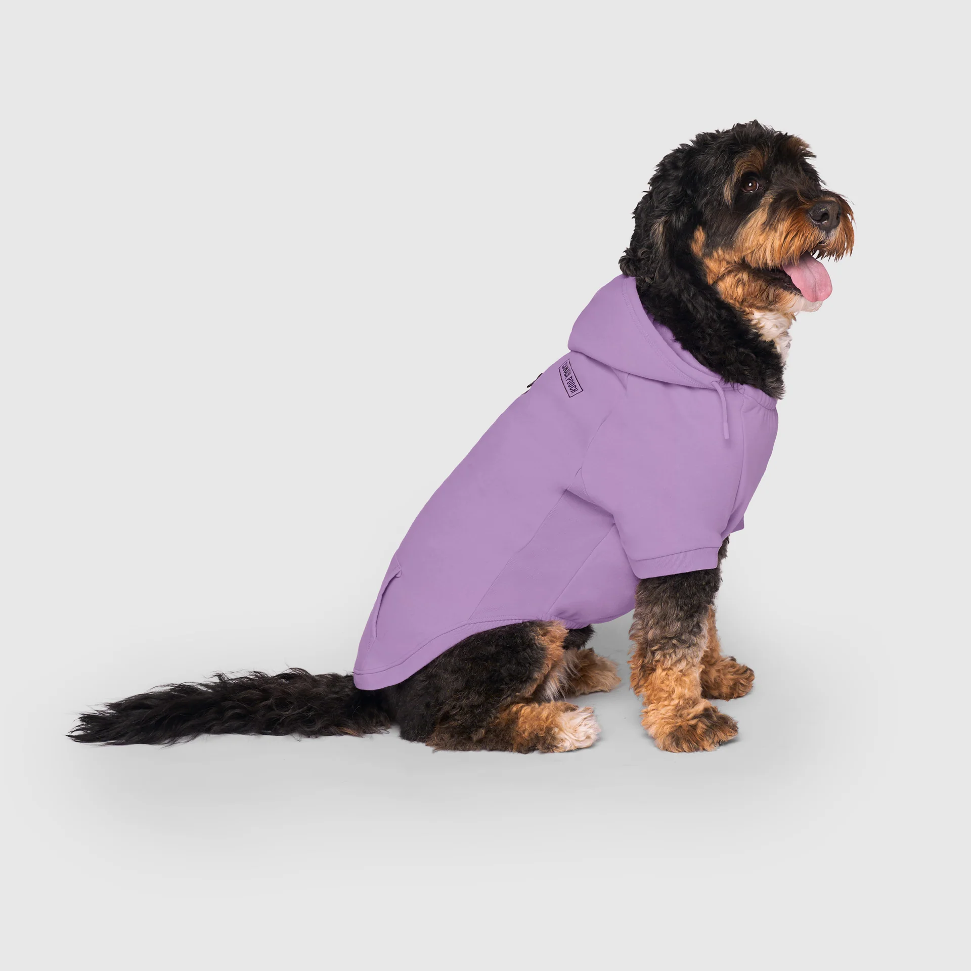 Eco+ Everyday Hoodie - Image 6
