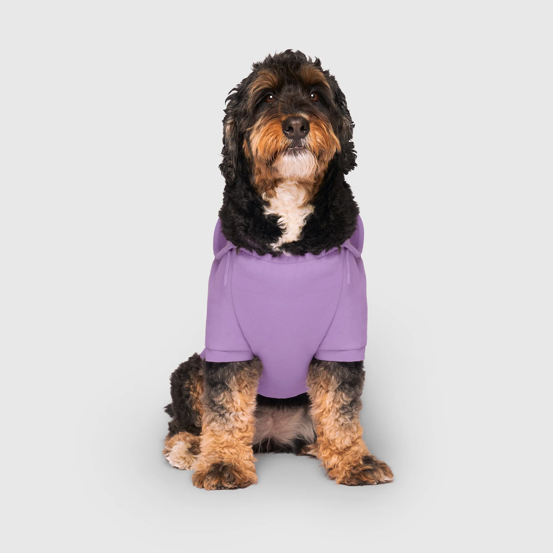 Eco+ Everyday Hoodie - Image 7