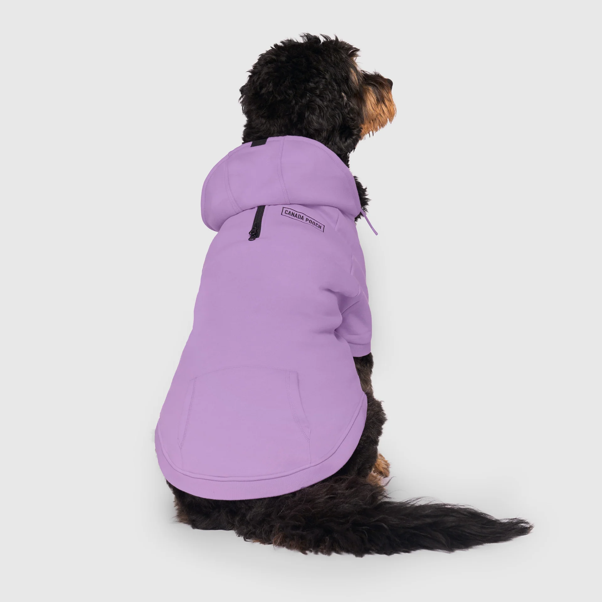 Eco+ Everyday Hoodie - Image 8