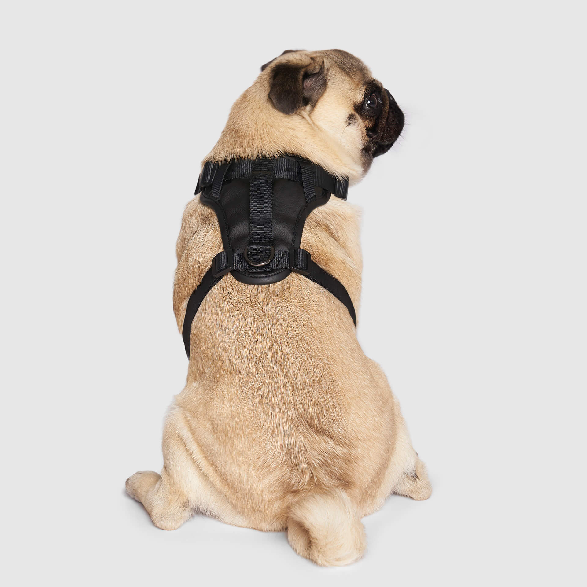 Eco+ Everything Harness - Image 3