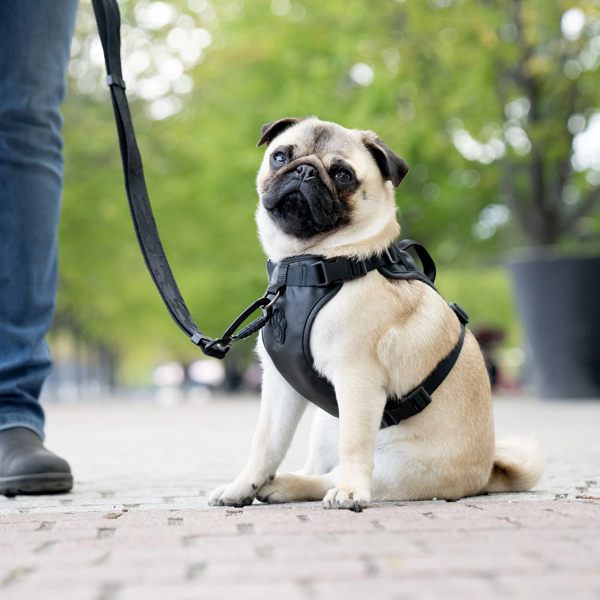 Eco+ Everything Harness - Image 5