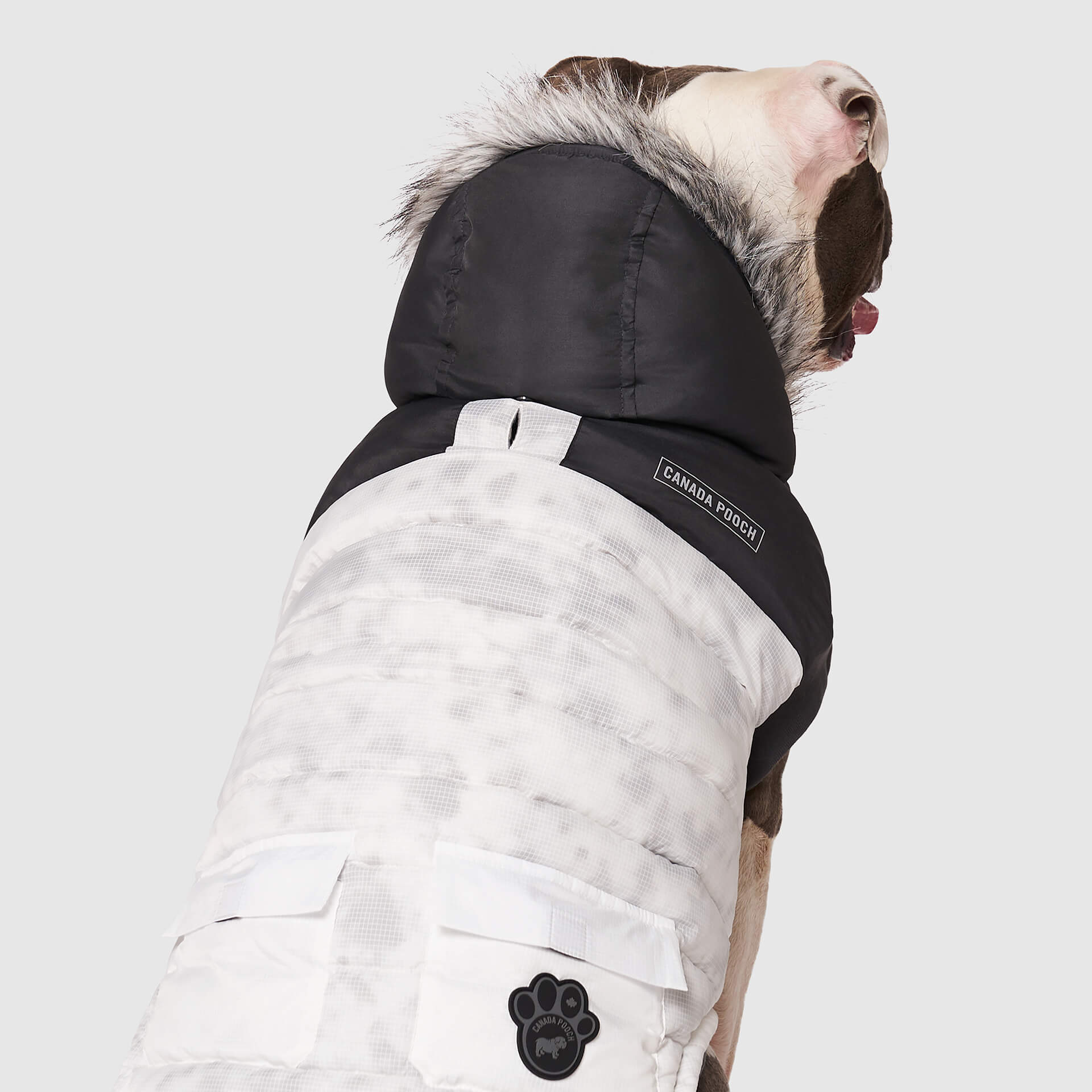 Eco+ True North Parka - Image 3