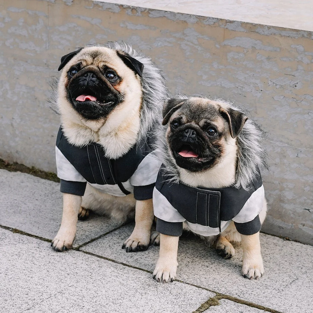 Eco+ True North Parka - Image 5