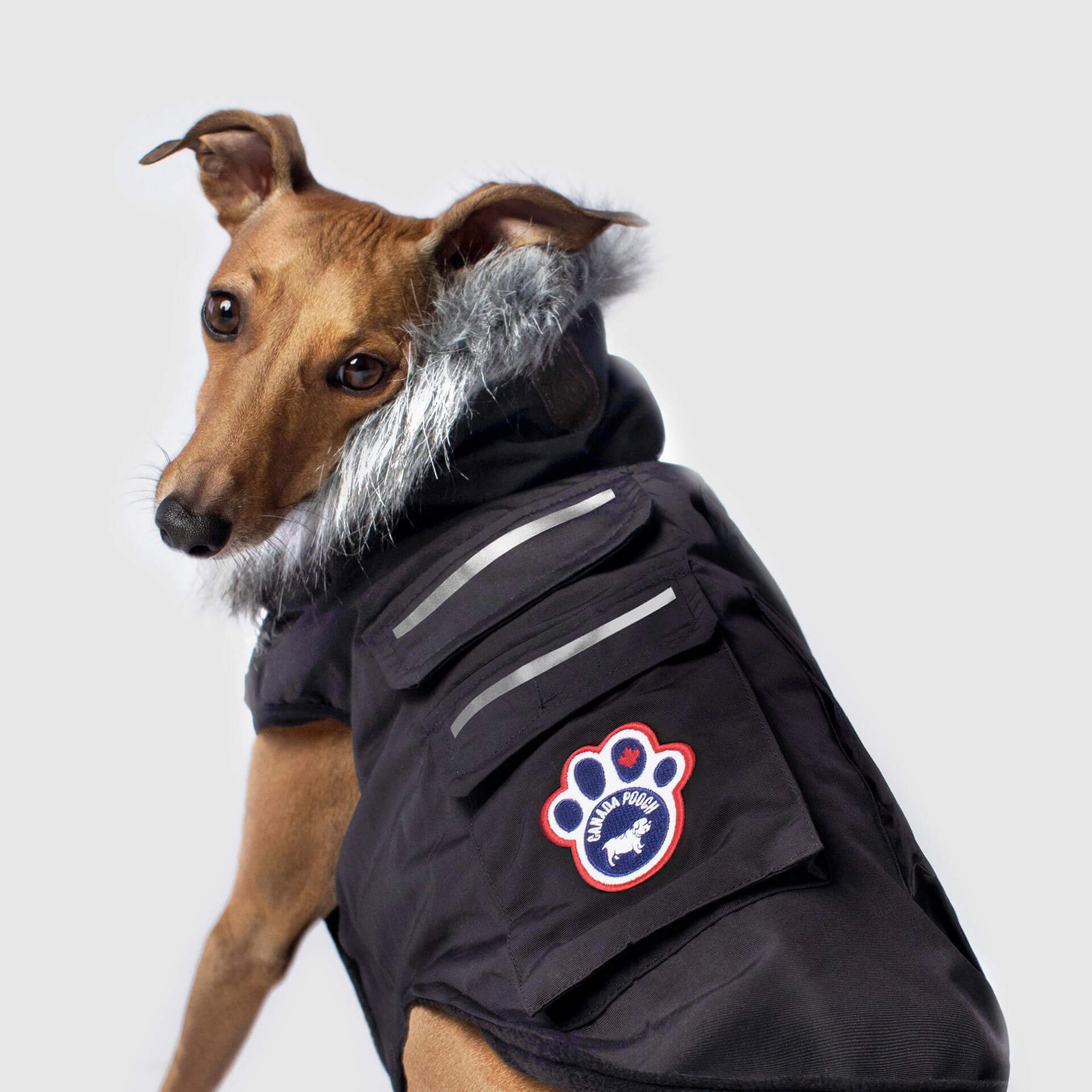 Everest Explorer Jacket - Image 3