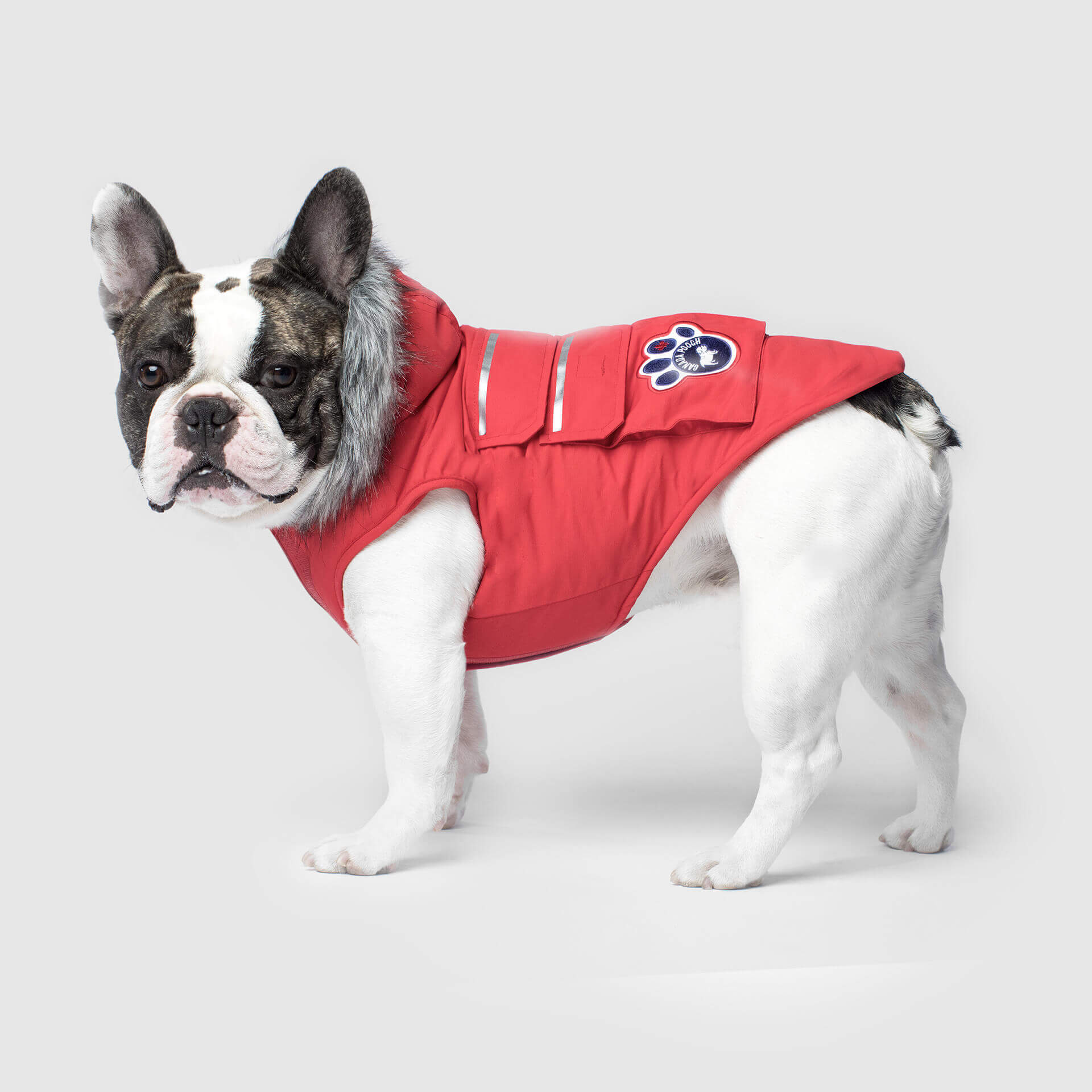 Everest Explorer Jacket - Image 5