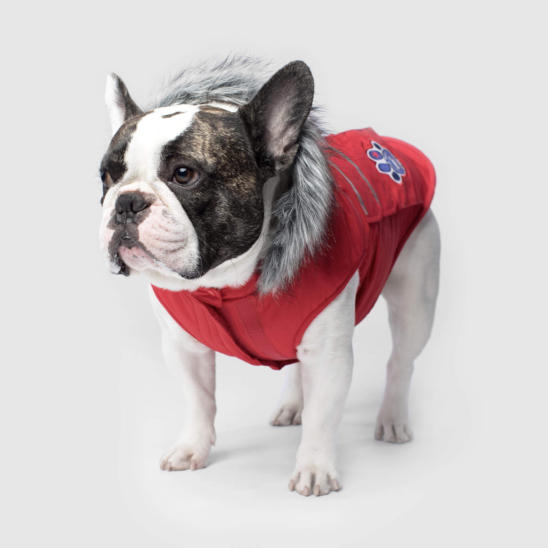 Everest Explorer Jacket - Image 6