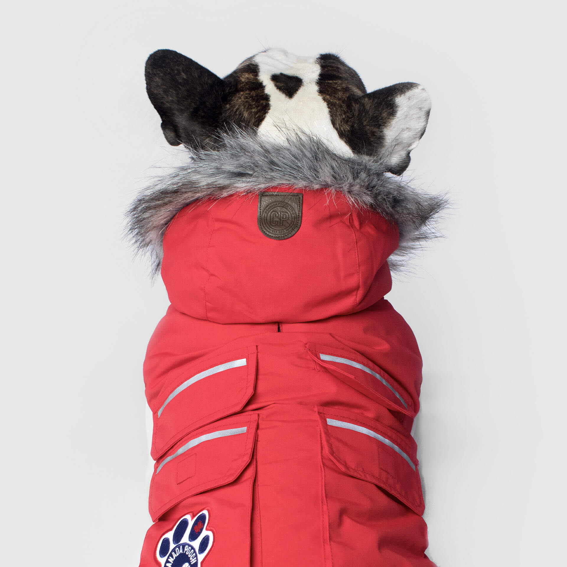 Everest Explorer Jacket - Image 7